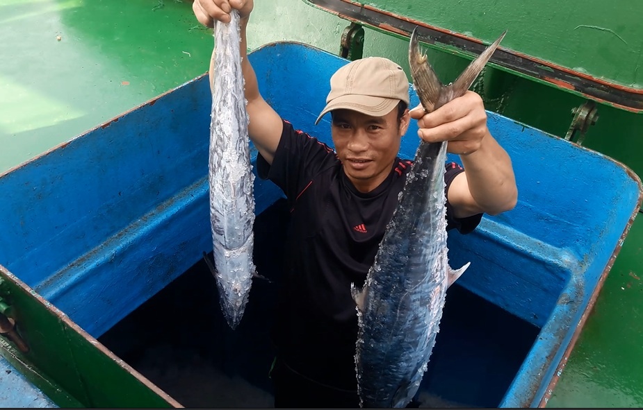 Ngu dan Ha Tinh trung me ca thu ban gan 400 trieu dong hinh anh