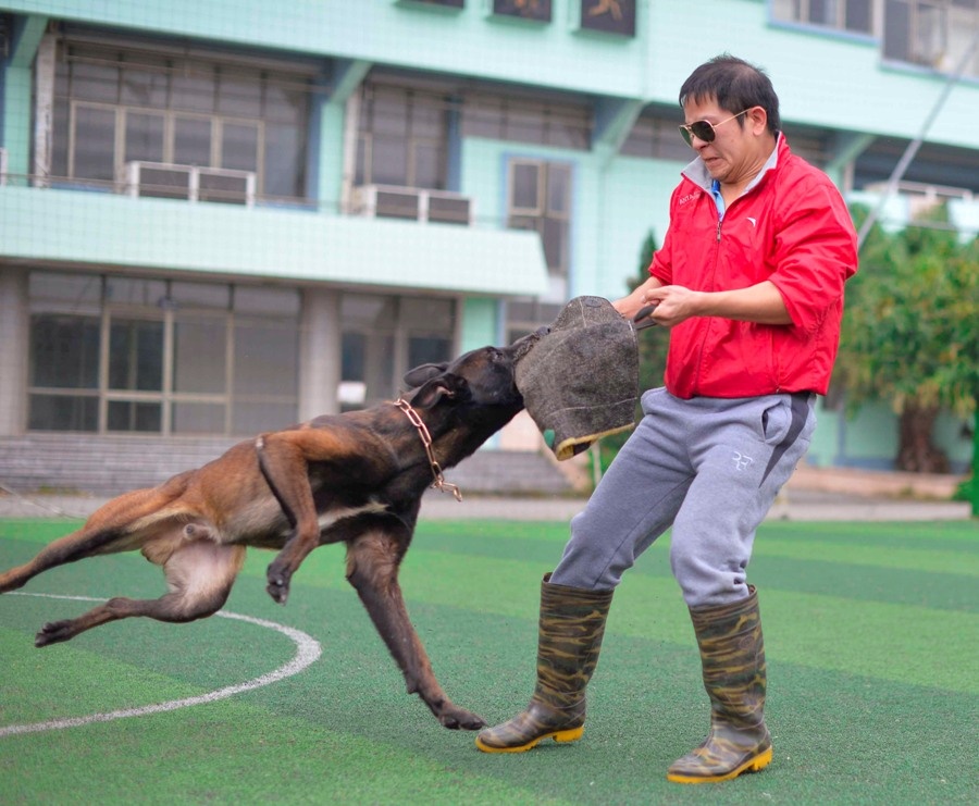 Ben trong trai huan luyen cho bao ve cua vo su karatedo hinh anh