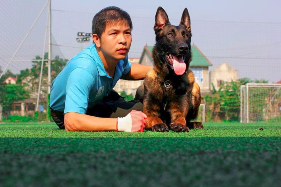 trại chó bảo vệ của võ sư karatedo  ảnh 13 trai cho bao ve cua vo su karatedo anh 13