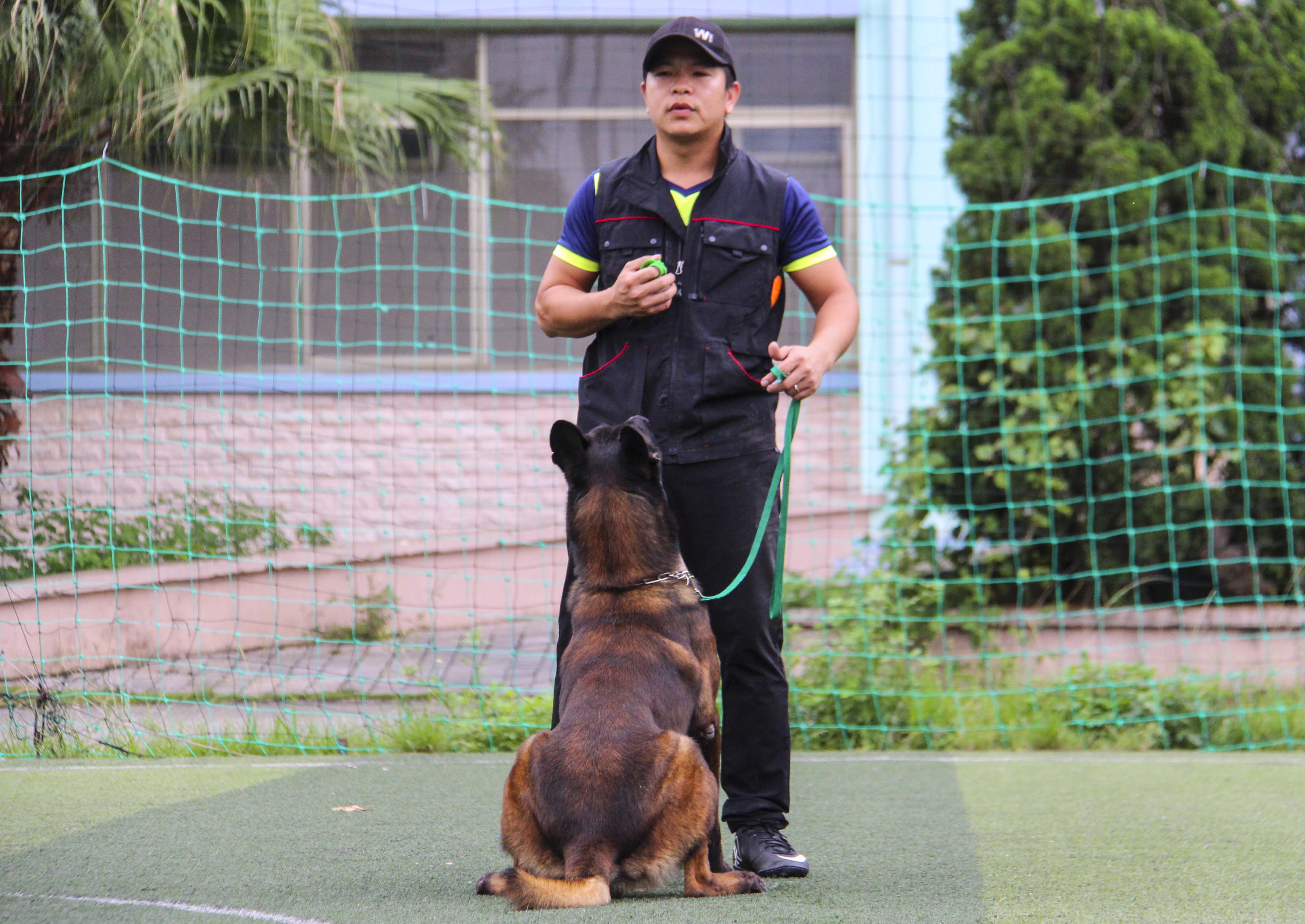 trại chó bảo vệ của võ sư karatedo  ảnh 10 trai cho bao ve cua vo su karatedo anh 10
