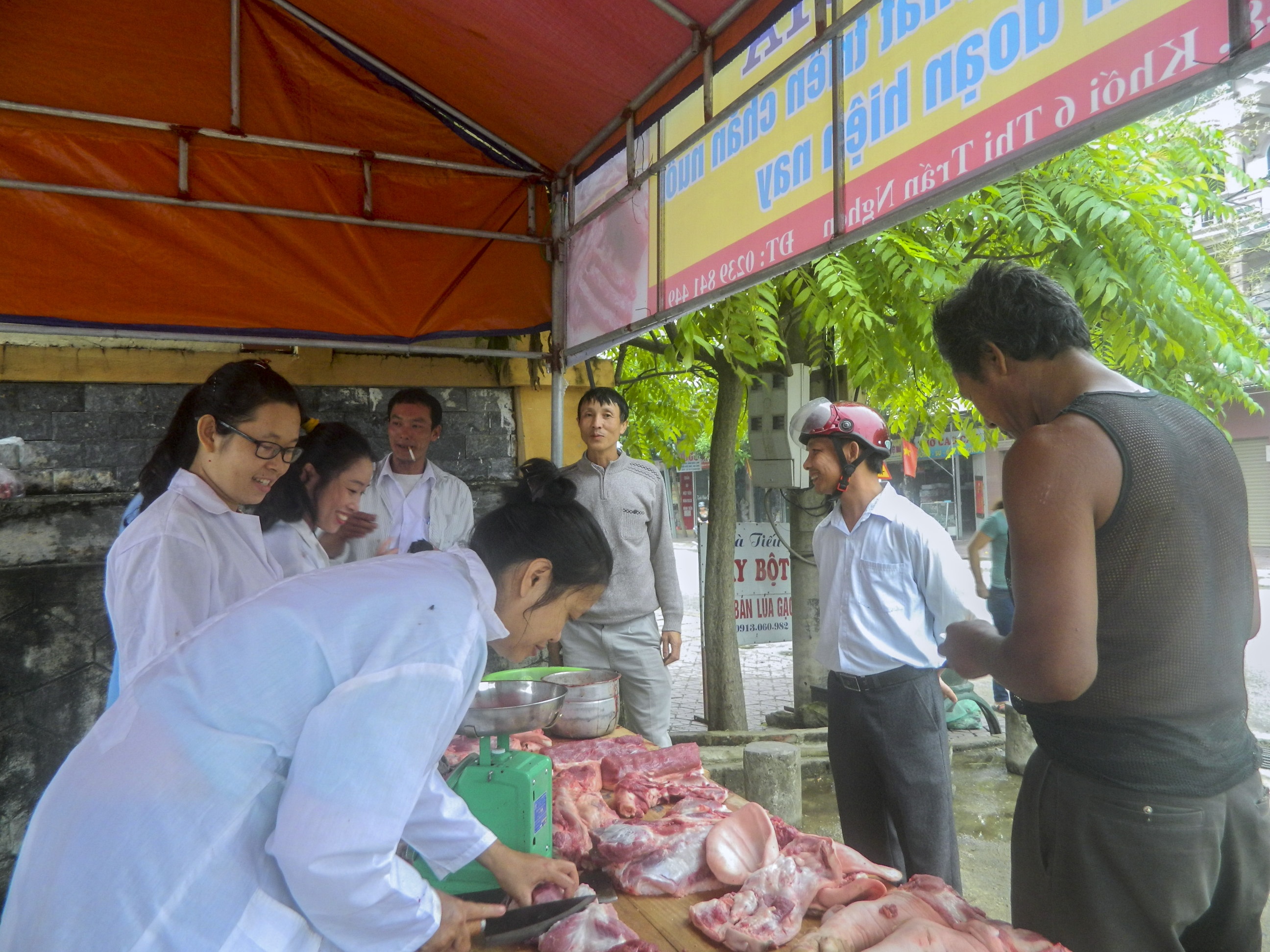 giải cứu lợn giúp người dân ảnh 1 giai cuu lon giup nguoi dan anh 1