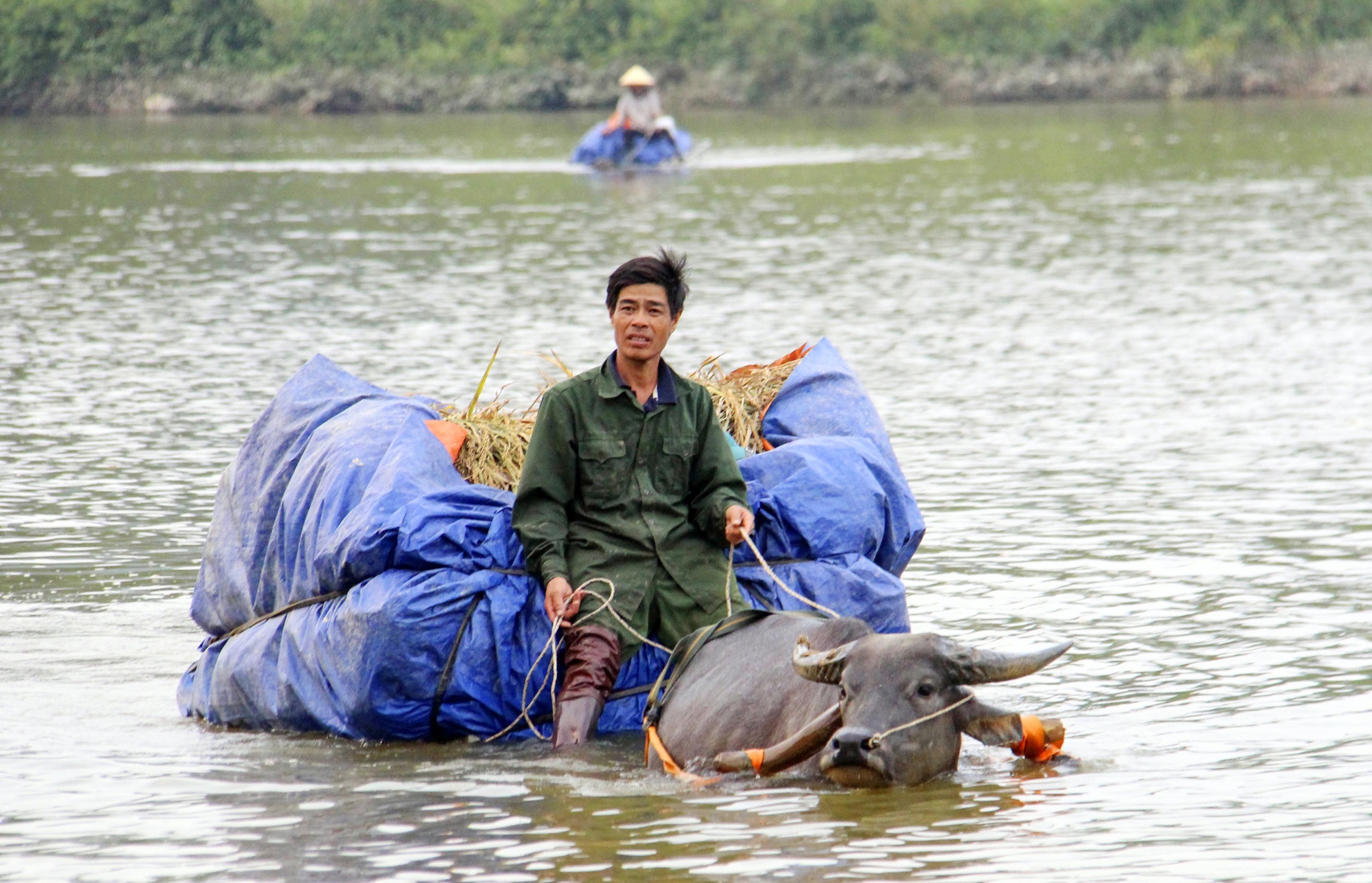 xe loi nuoc cho nong san qua song anh 10