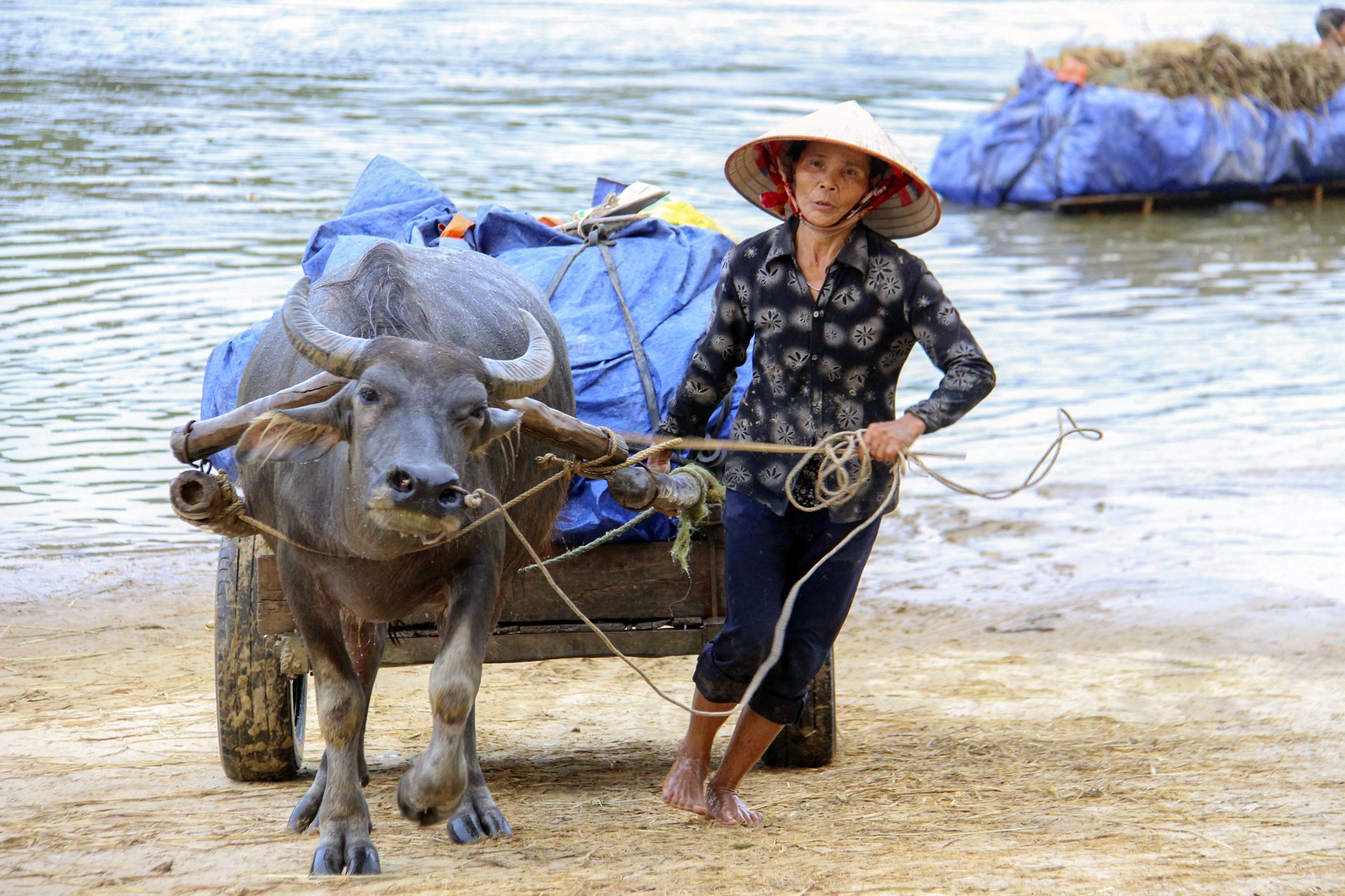 xe loi nuoc cho nong san qua song anh 11