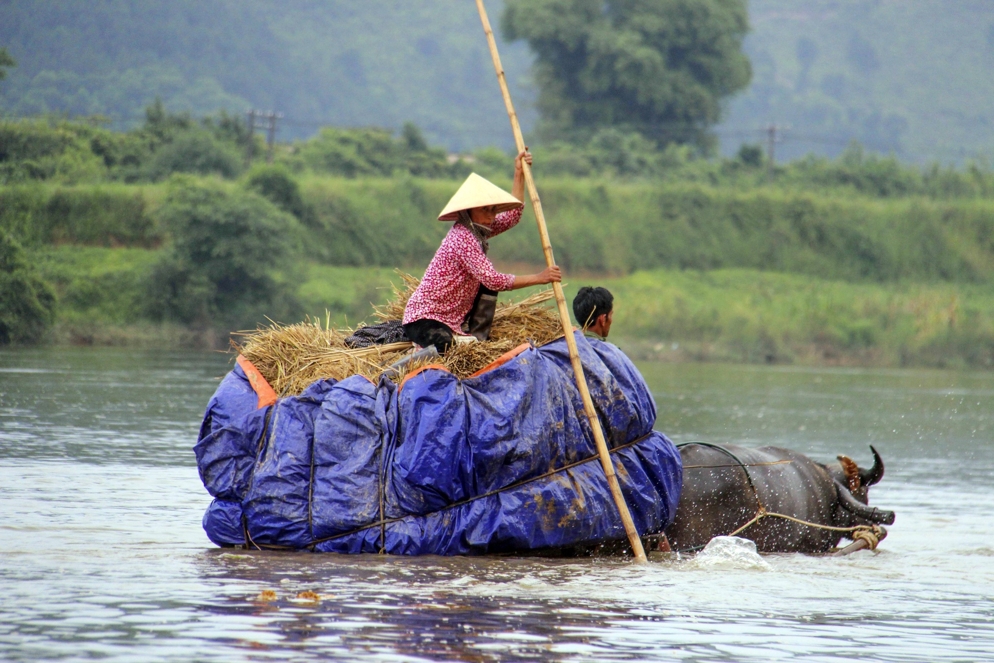 xe loi nuoc cho nong san qua song anh 8