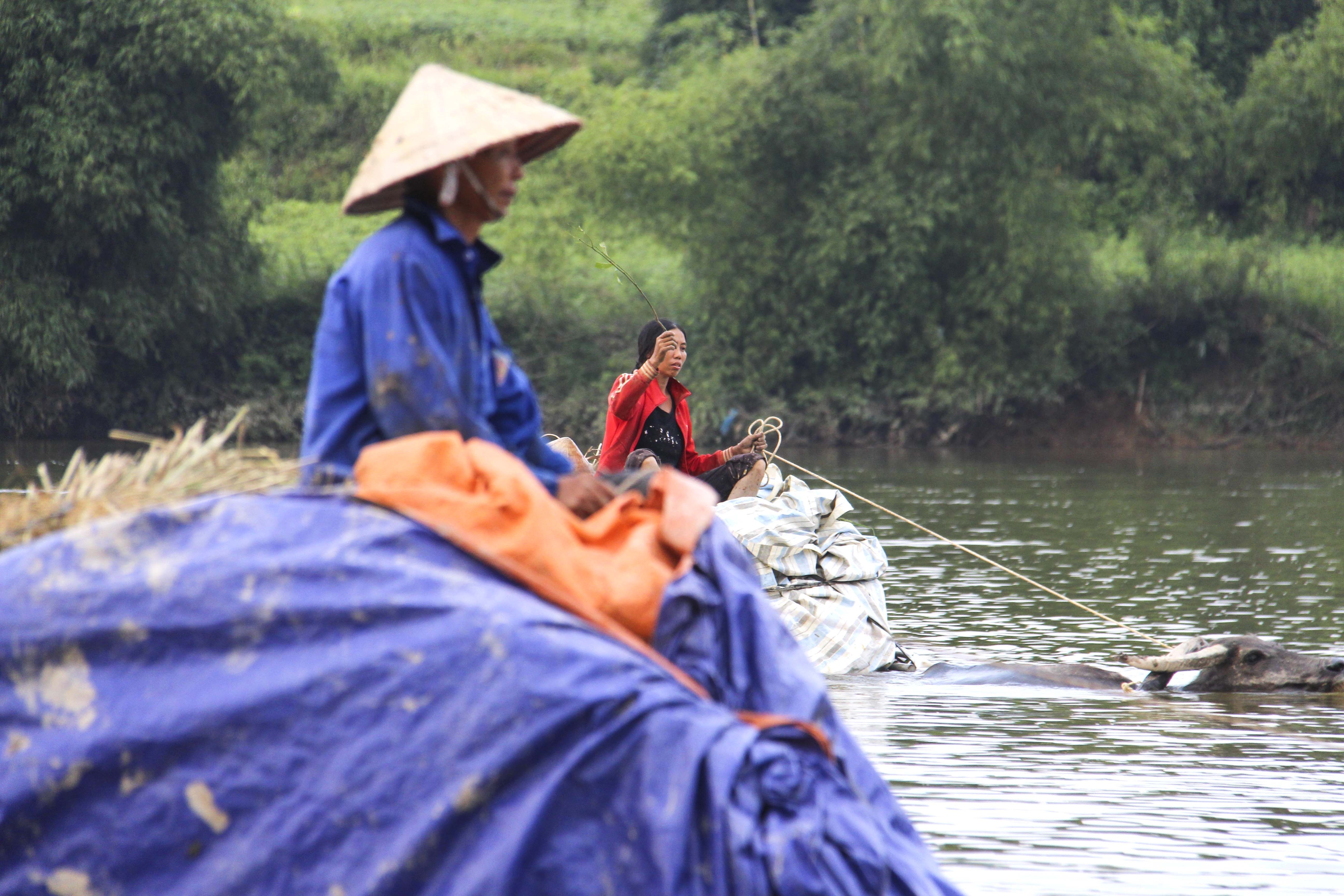 Nguoi dan che loi nuoc cong lua vuot song Ngan Sau hinh anh