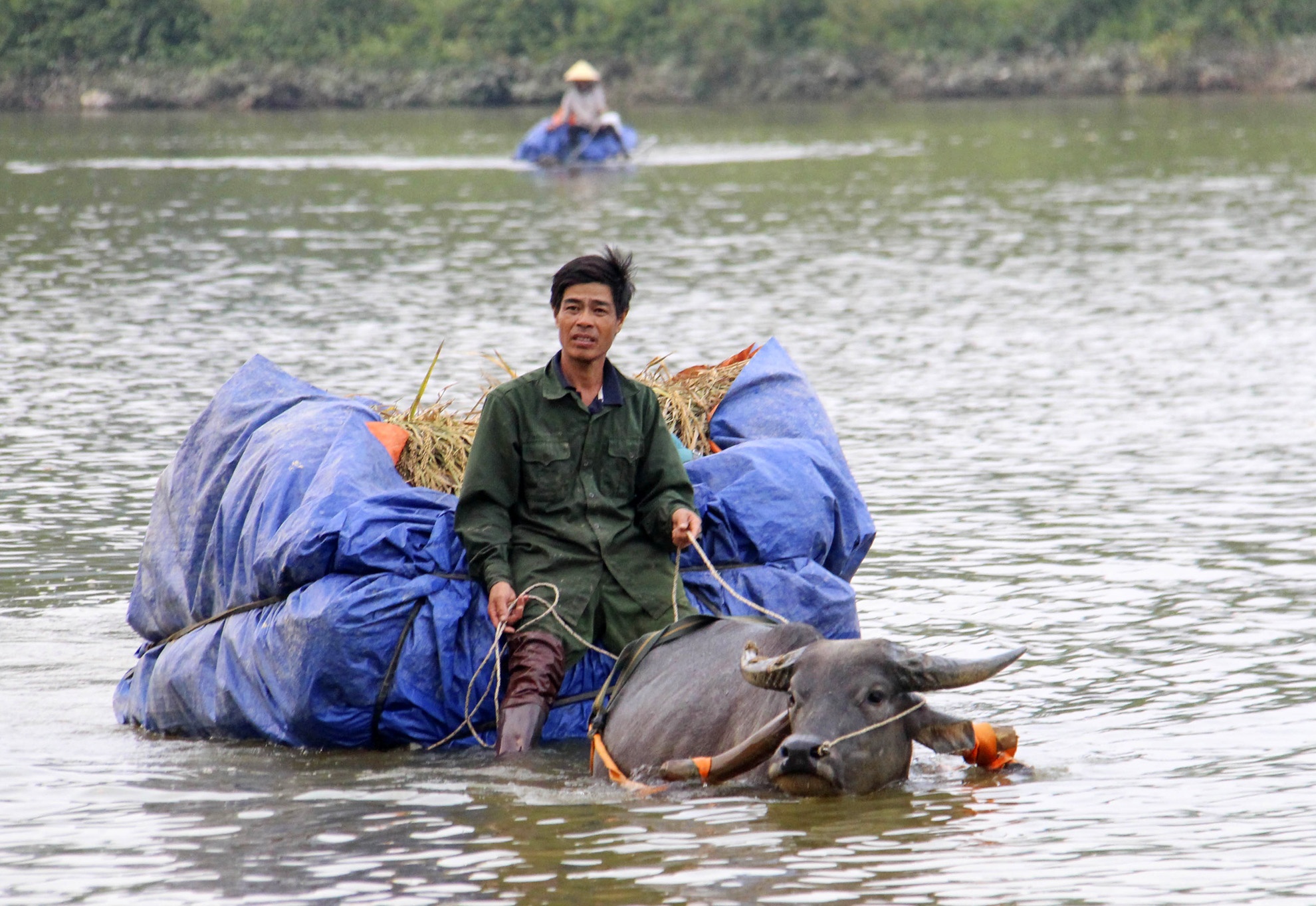 Nguoi dan che xe loi nuoc cong lua vuot song Ngan Sau hinh anh