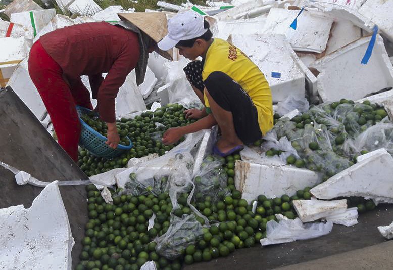 dân gom hàng giúp tài xế tai nạn ảnh 2 dan gom hang giup tai xe tai nan anh 2