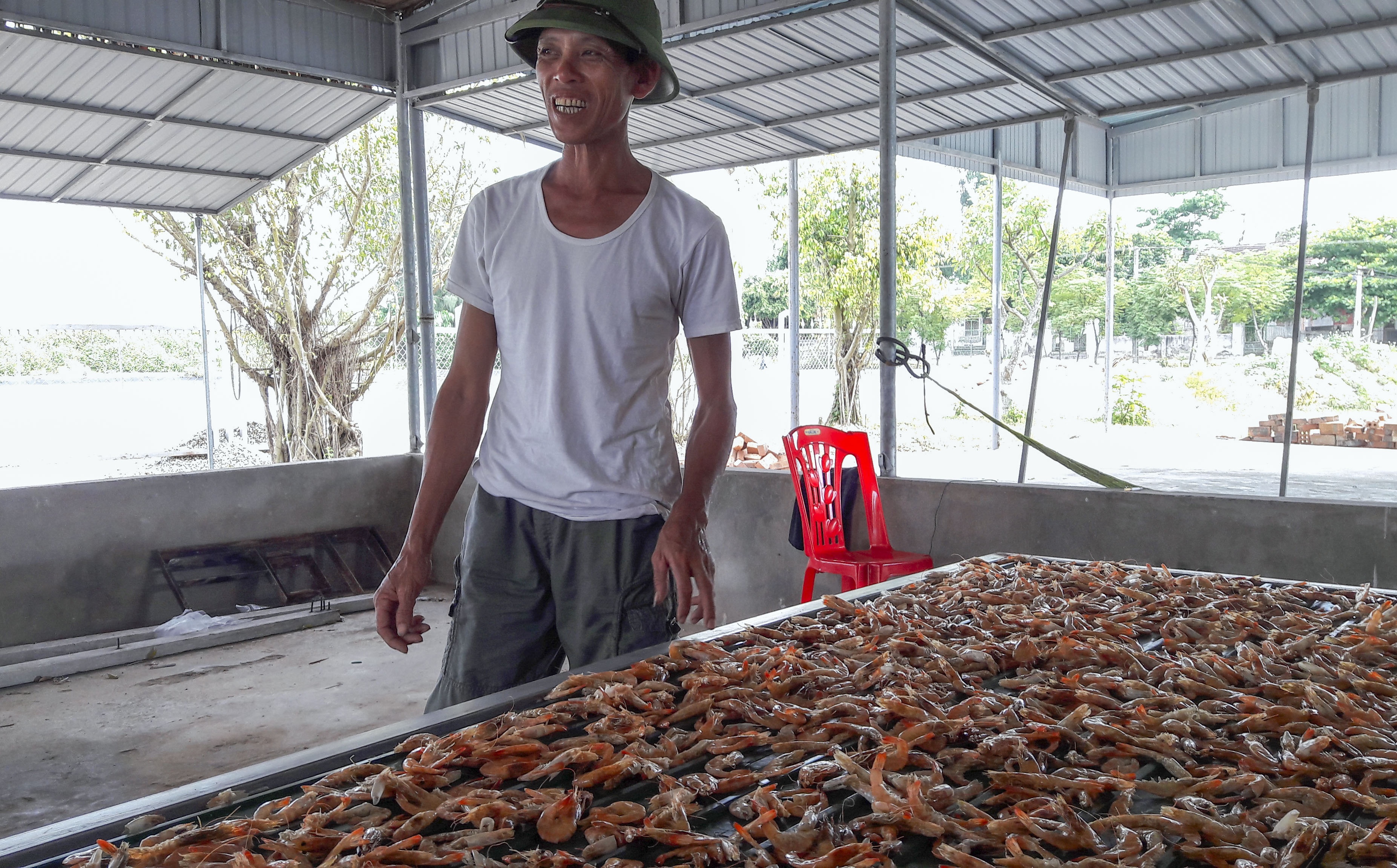 tôm chết hàng loạt ảnh 2 tom chet hang loat anh 2