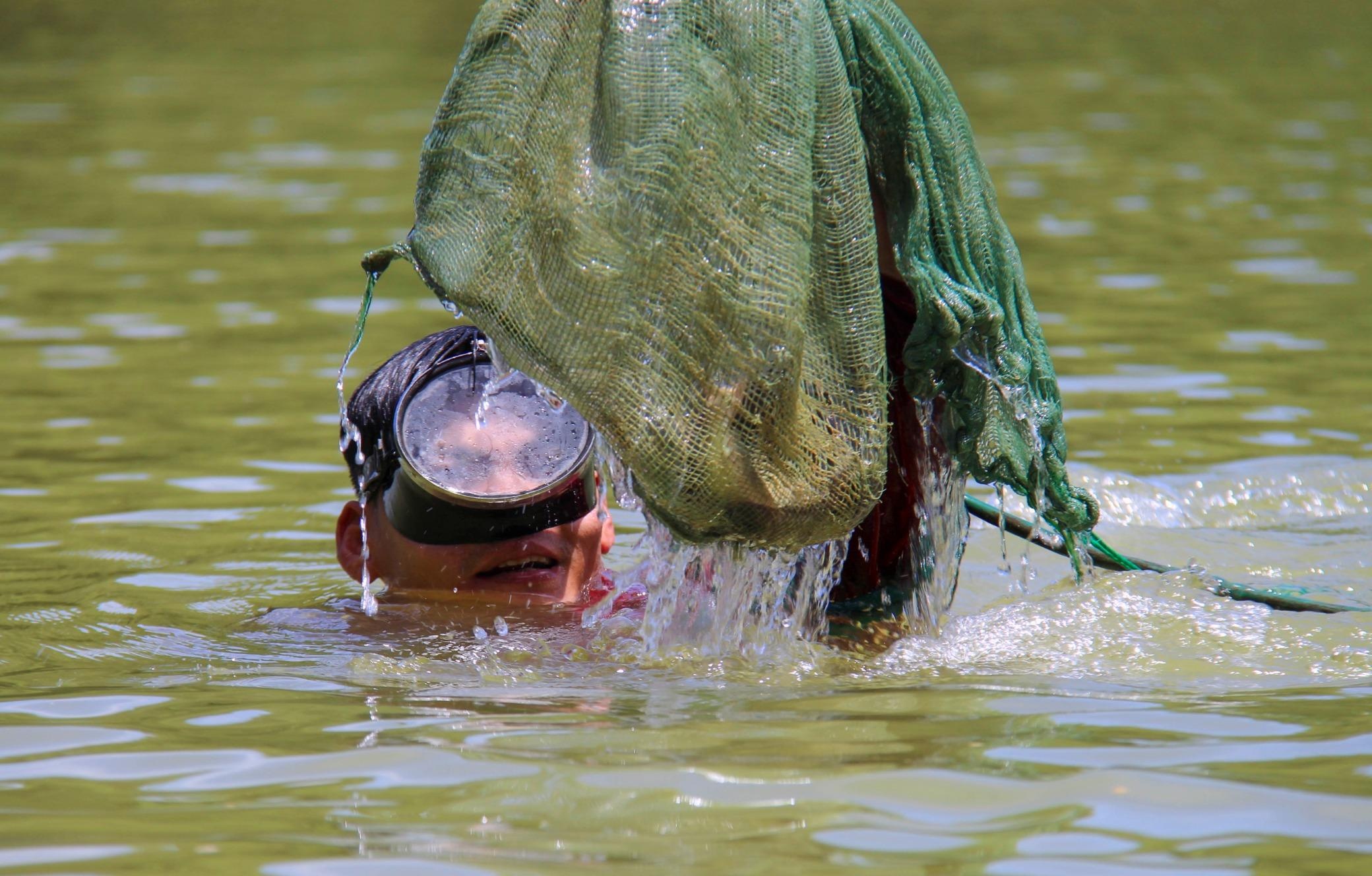 Lan sau 15 met bat ca nganh bang tay khong hinh anh