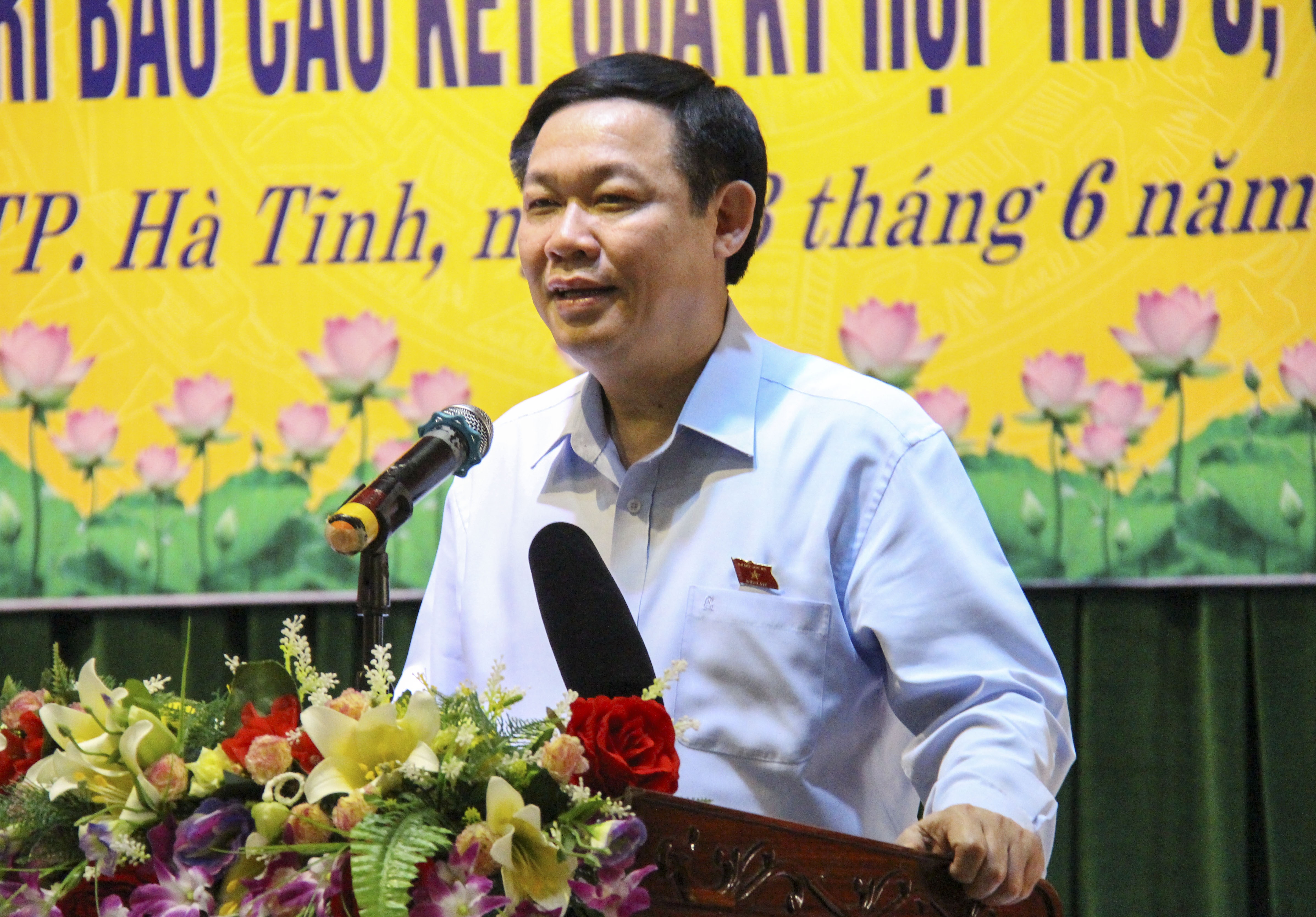 'Phai than trong neu tai khoi dong du an mo sat Thach Khe' hinh anh