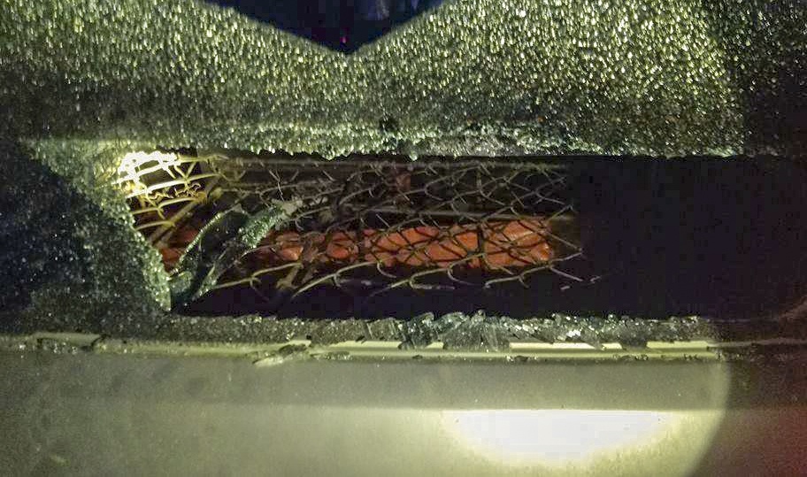 dùng ô tô đi trộm chó trong đêm ảnh 2 dung o to di trom cho trong dem anh 2