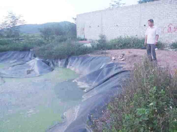 Be gai 9 tuoi roi xuong ho biogas tu vong hinh anh