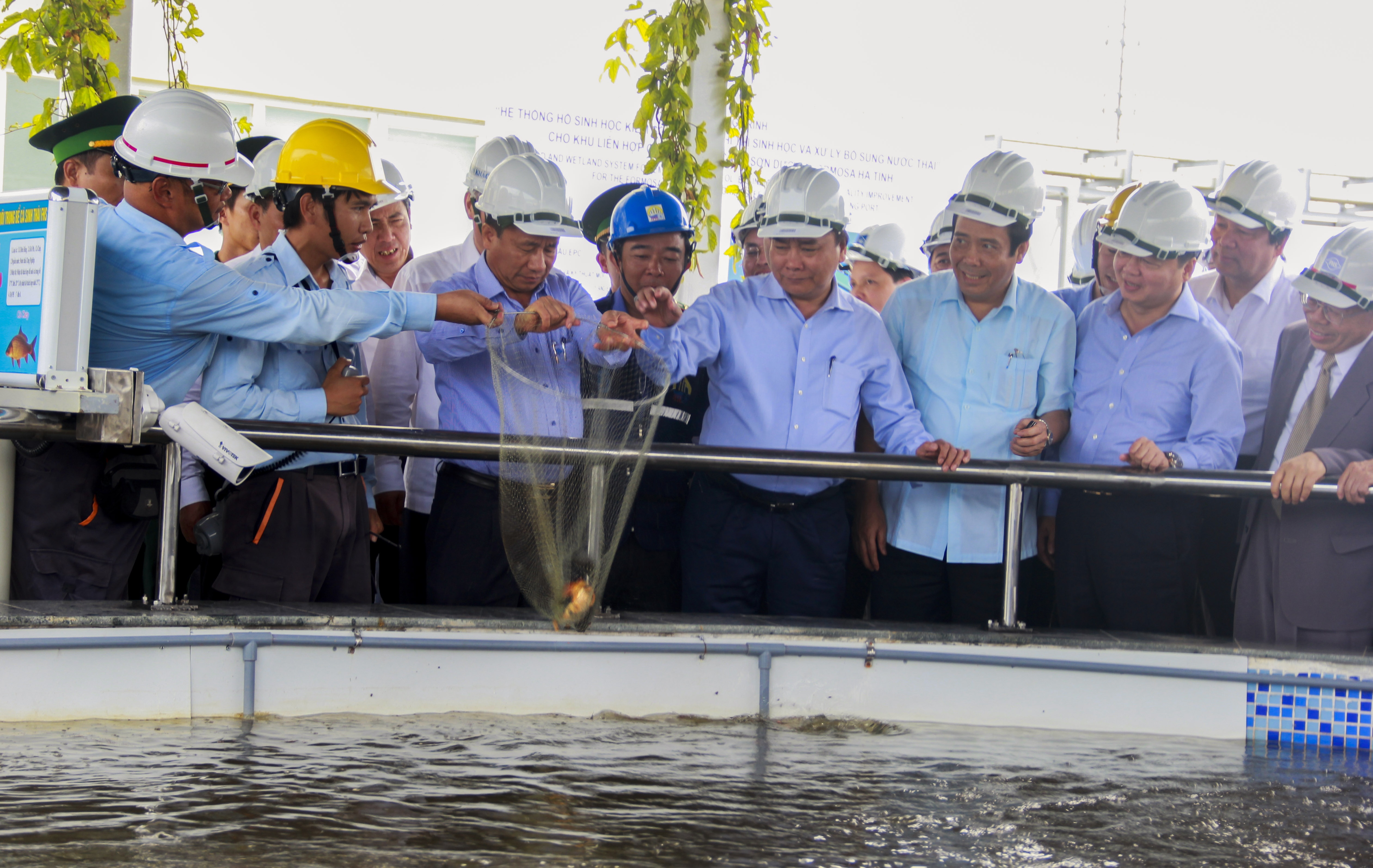 Thu tuong thi sat Formosa Ha Tinh anh 2