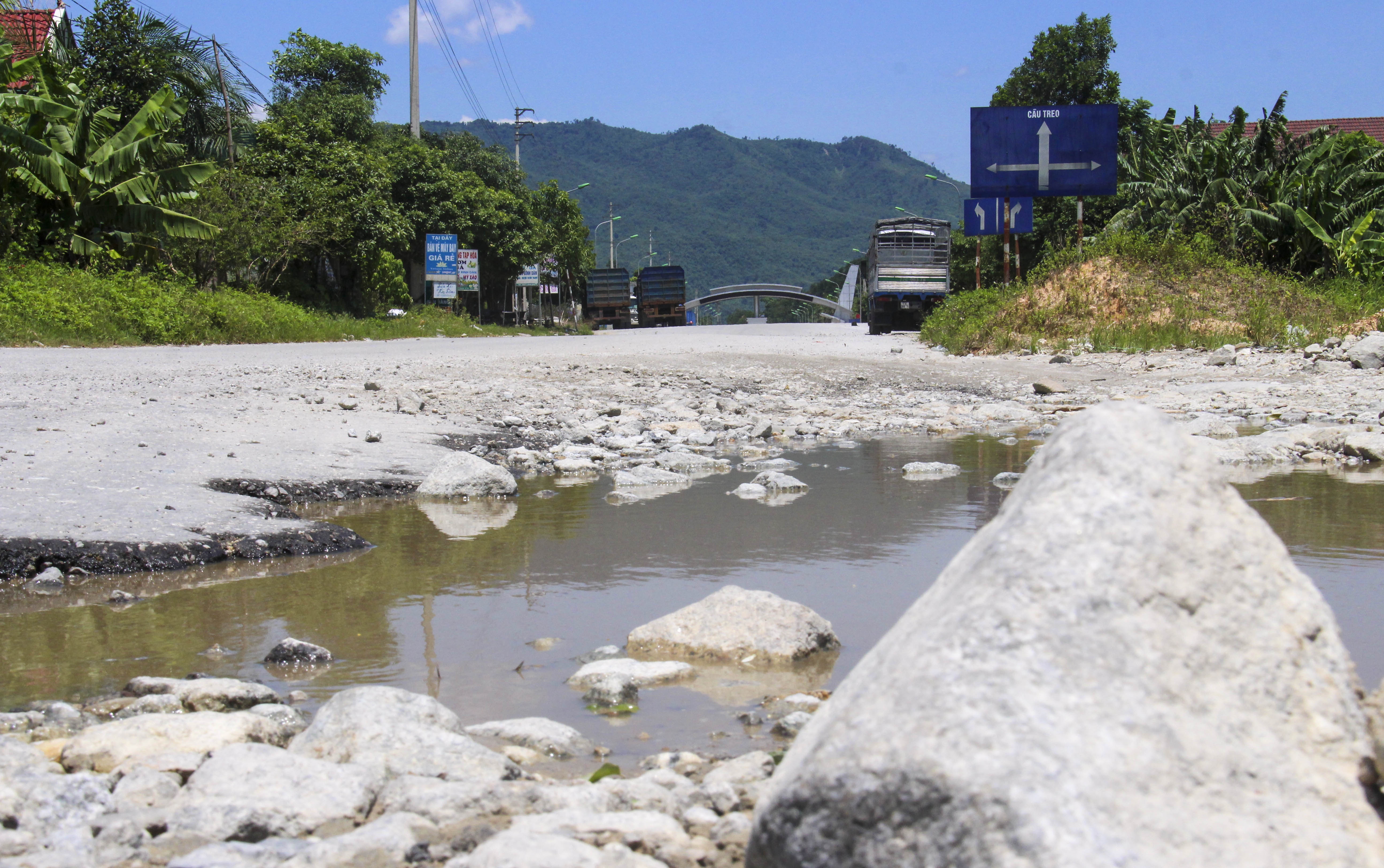 quoc lo 8A chi chit o ga,  o voi anh 11