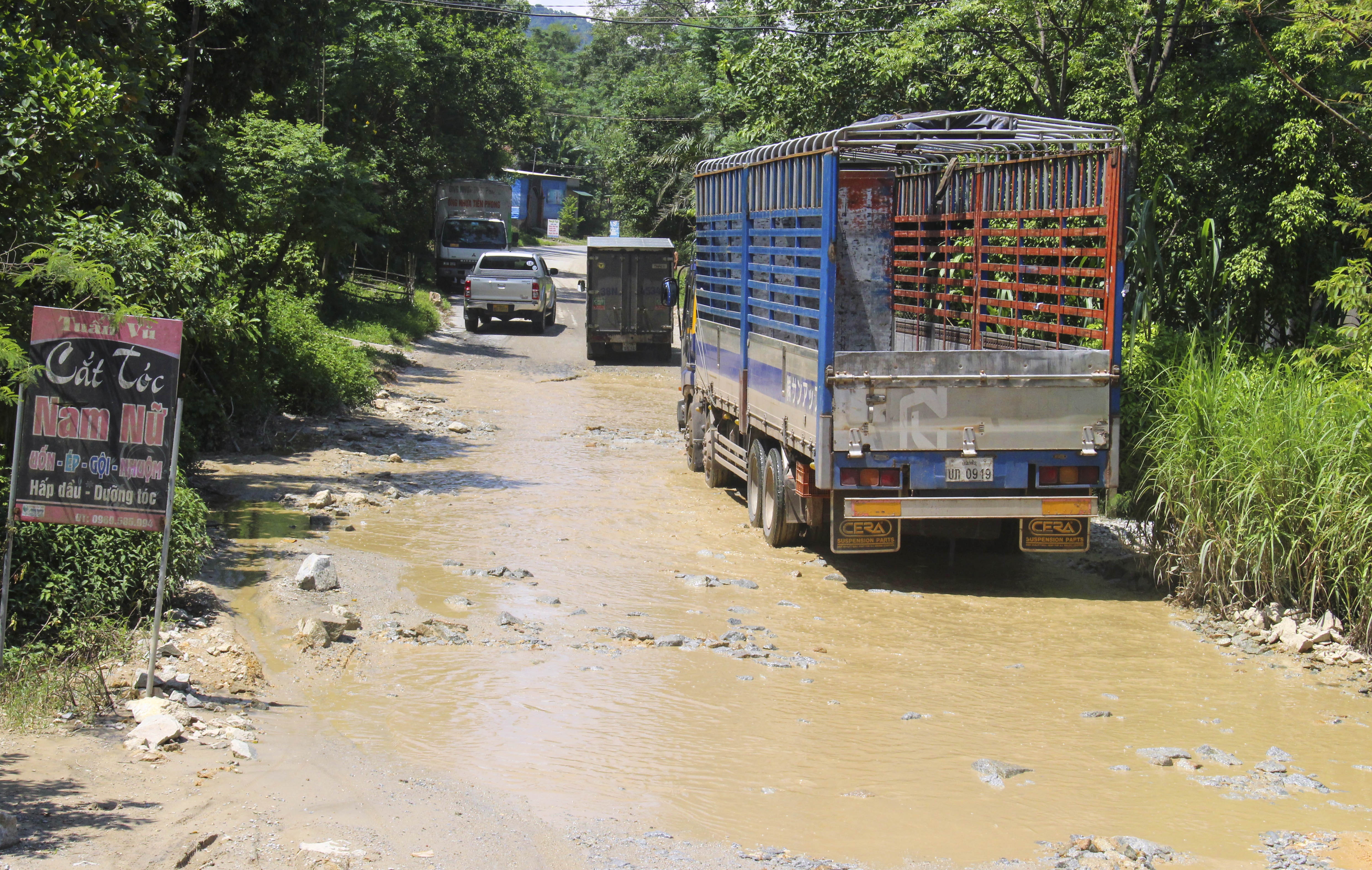 quoc lo 8A chi chit o ga,  o voi anh 3