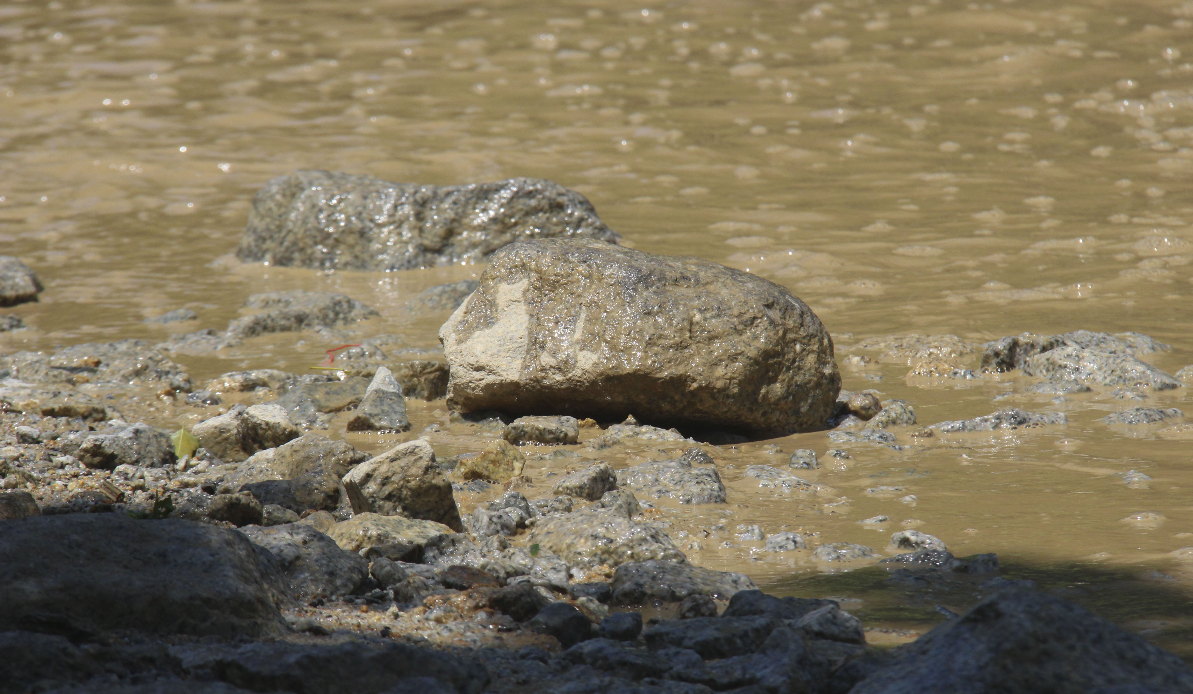 quoc lo 8A chi chit o ga,  o voi anh 7