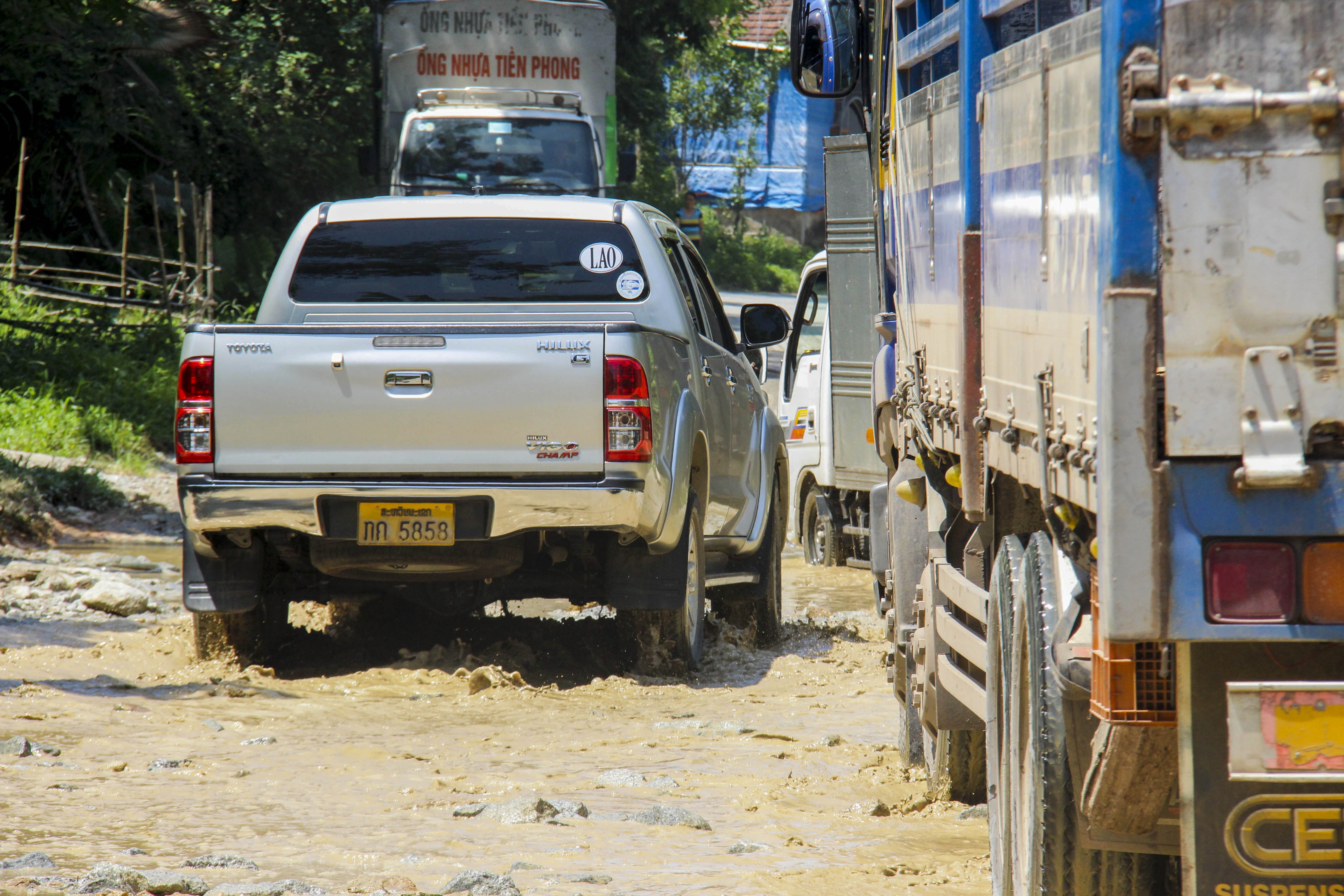 quoc lo 8A chi chit o ga,  o voi anh 6