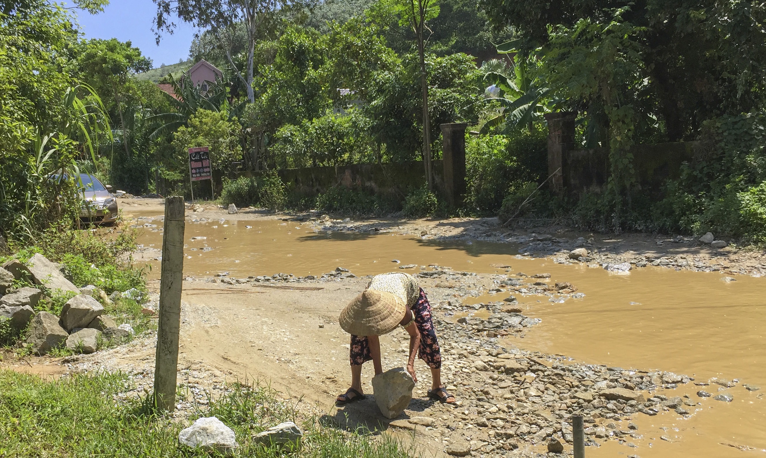 quoc lo 8A chi chit o ga,  o voi anh 8