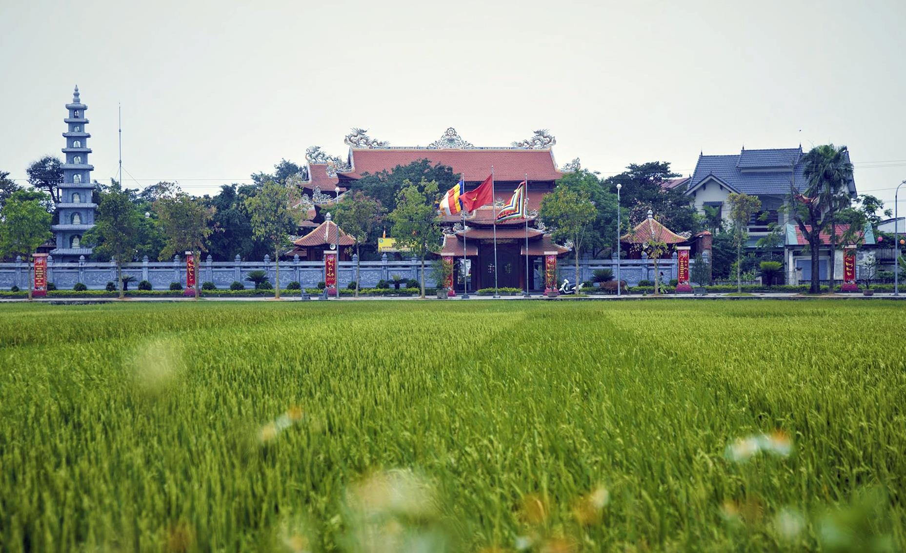 đền thờ họ 100 tỷ ở Hà Tĩnh ảnh 5 den tho ho 100 ty o Ha Tinh anh 5