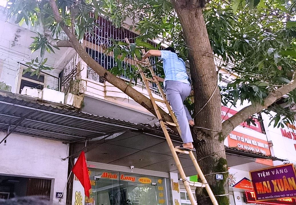 đột nhập tiệm vàng ở Hà Tĩnh ảnh 2 dot nhap tiem vang o Ha Tinh anh 2