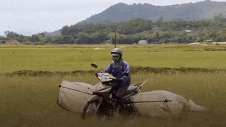 San dac san ‘tom bay’ kiem tien trieu moi ngay hinh anh