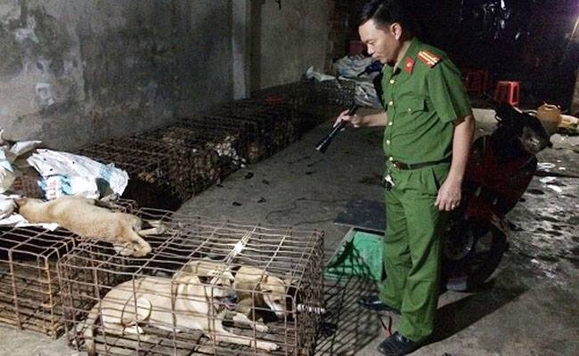 câu trộm chó ảnh 1 cau trom cho anh 1