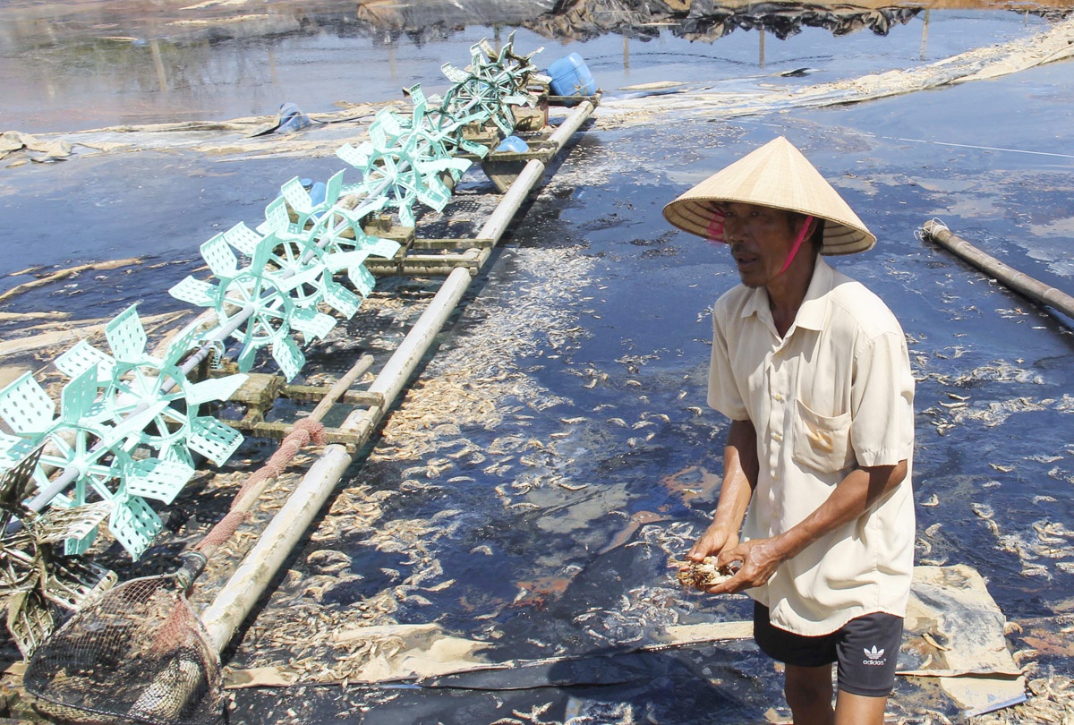 Nguoi Ha Tinh lam canh no nan vi tom chet trang sau bao hinh anh