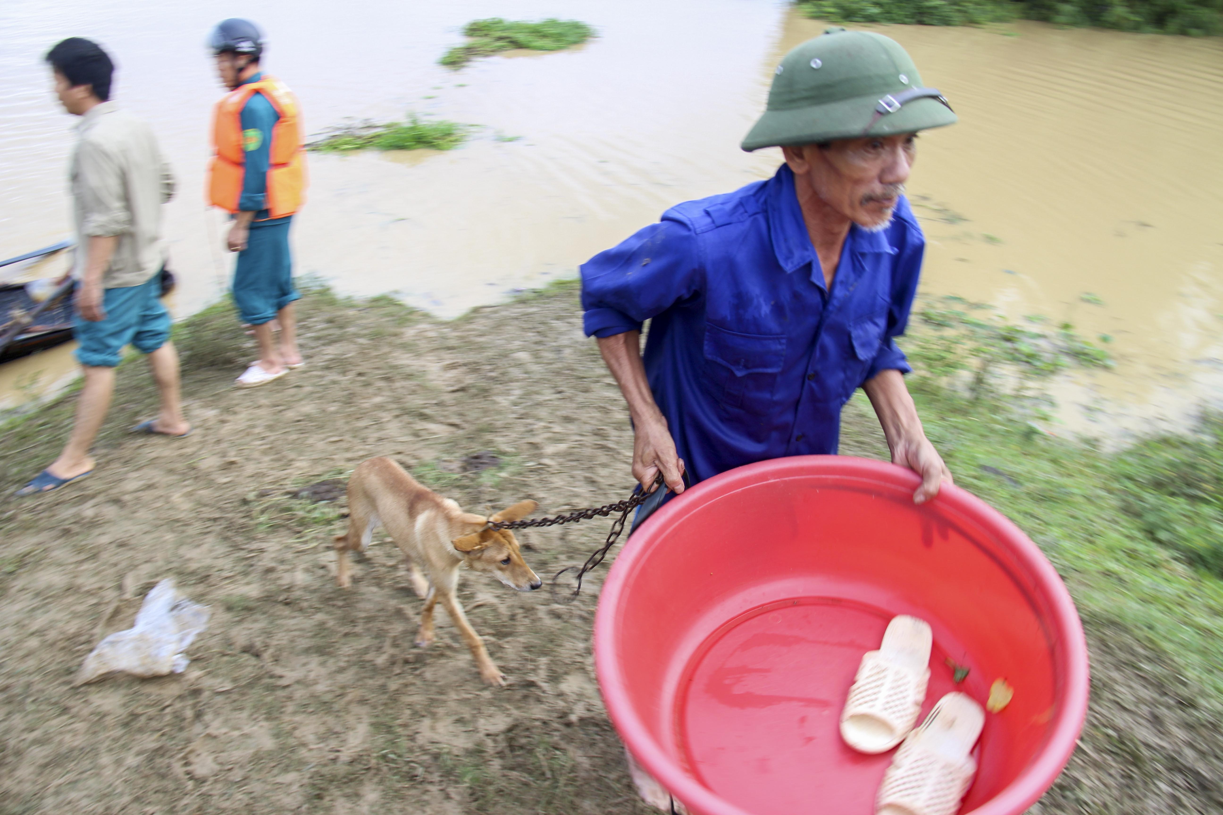 di dan tranh lu song Ma anh 7