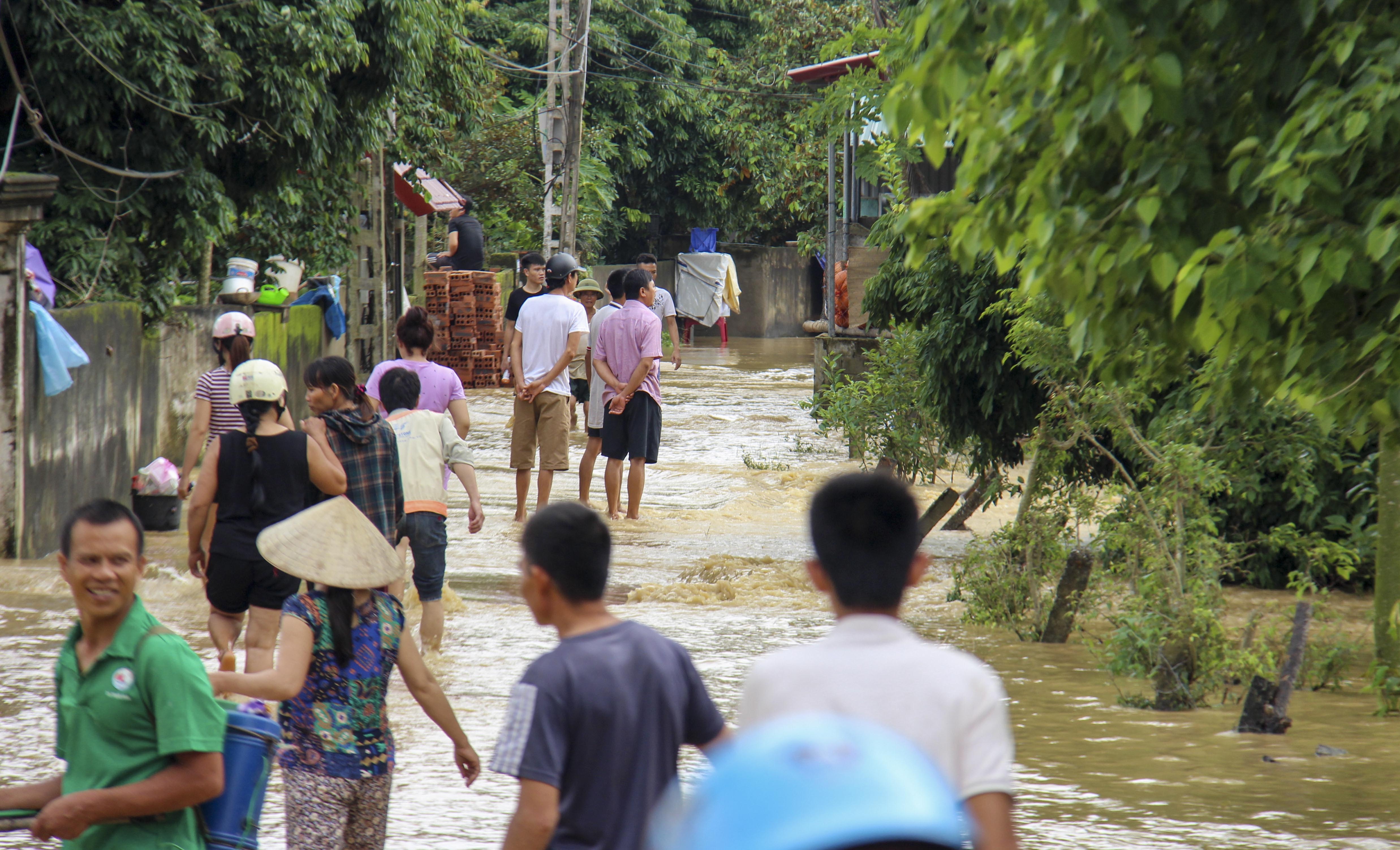 di dan tranh lu song Ma anh 8