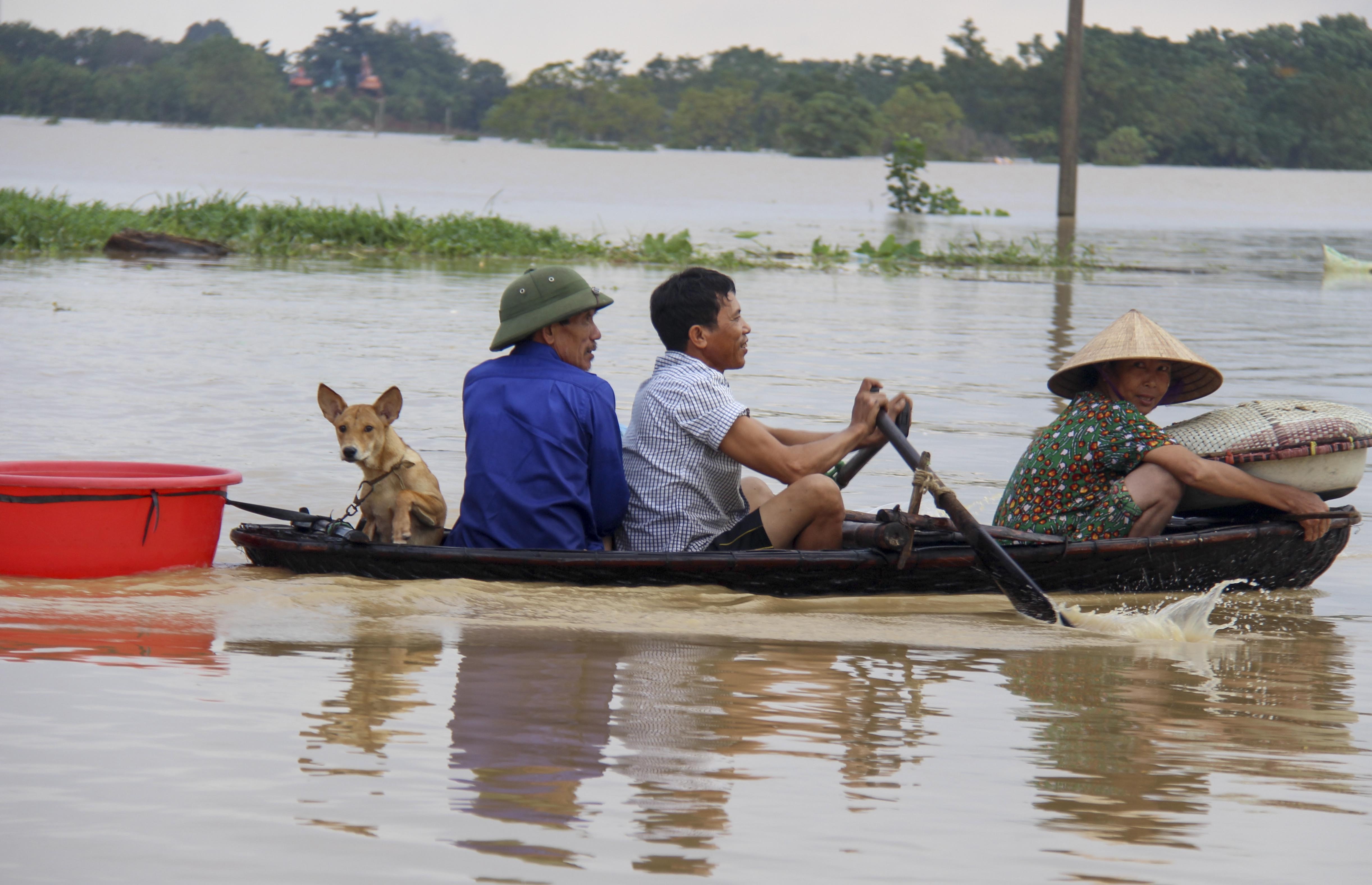 di dan tranh lu song Ma anh 6