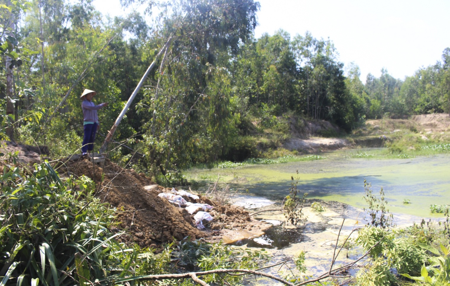 Nước kênh đổi màu đen ảnh 3 Nuoc kenh doi mau den anh 3