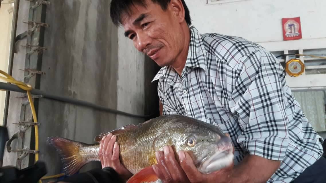 ngu dan bat ca su vang quy hiem anh 2