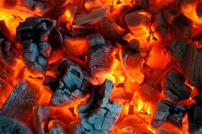 6 nguoi nhap vien khi suoi am bang than cui hinh anh