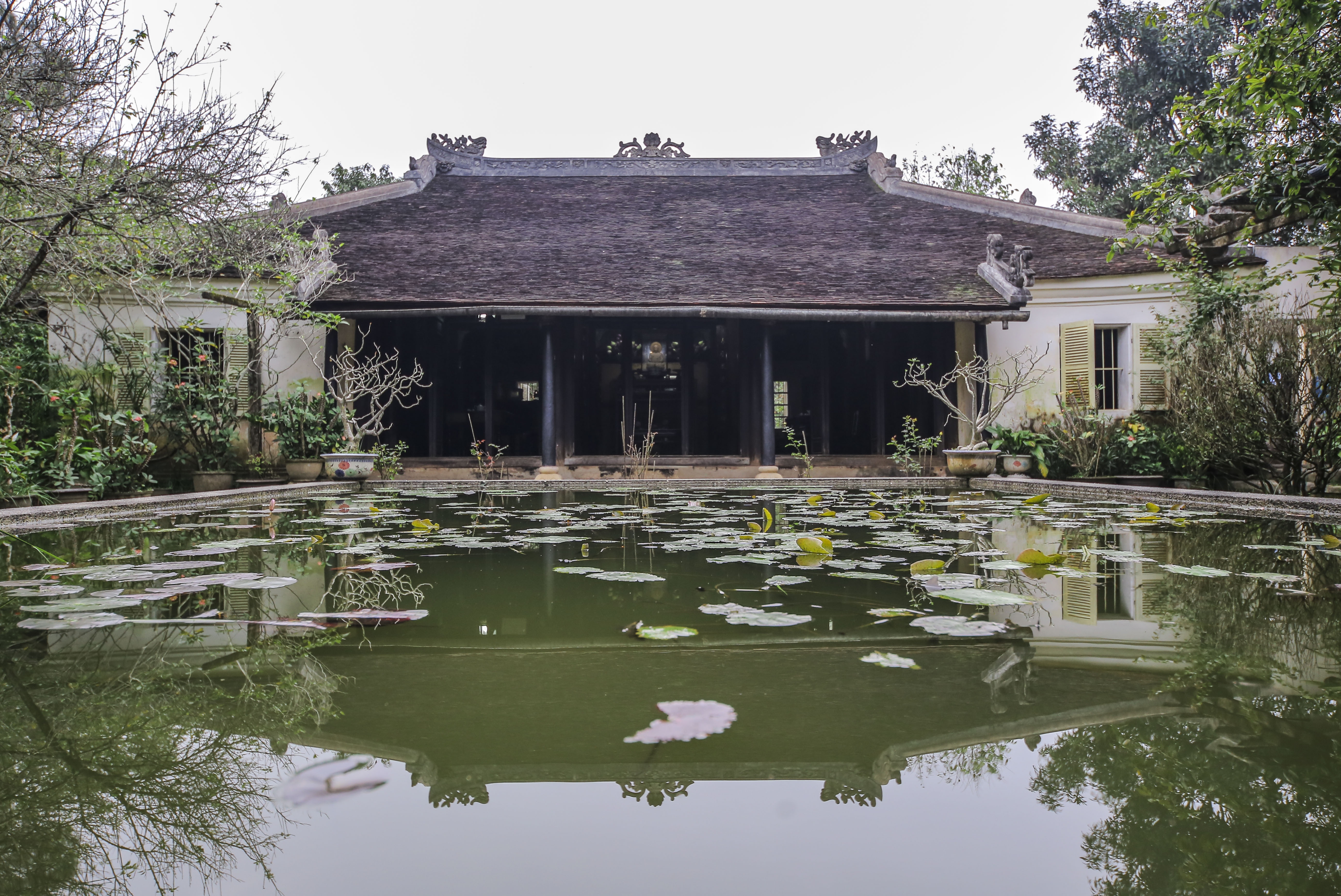 Nha vuon 5.000 m2 co nhat xu Hue hinh anh