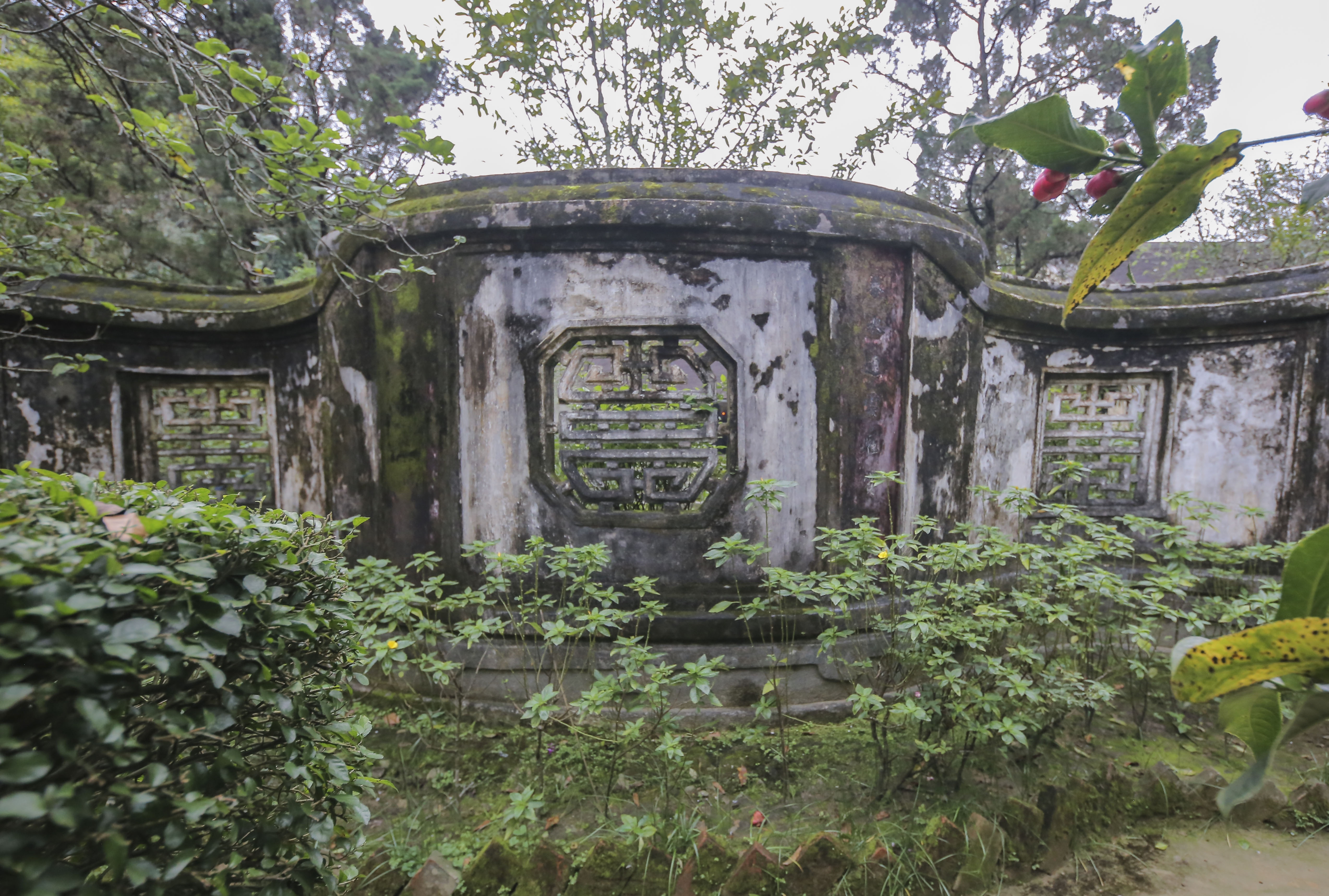 nha vuon 5.000 m2 co nhat xu Hue anh 14