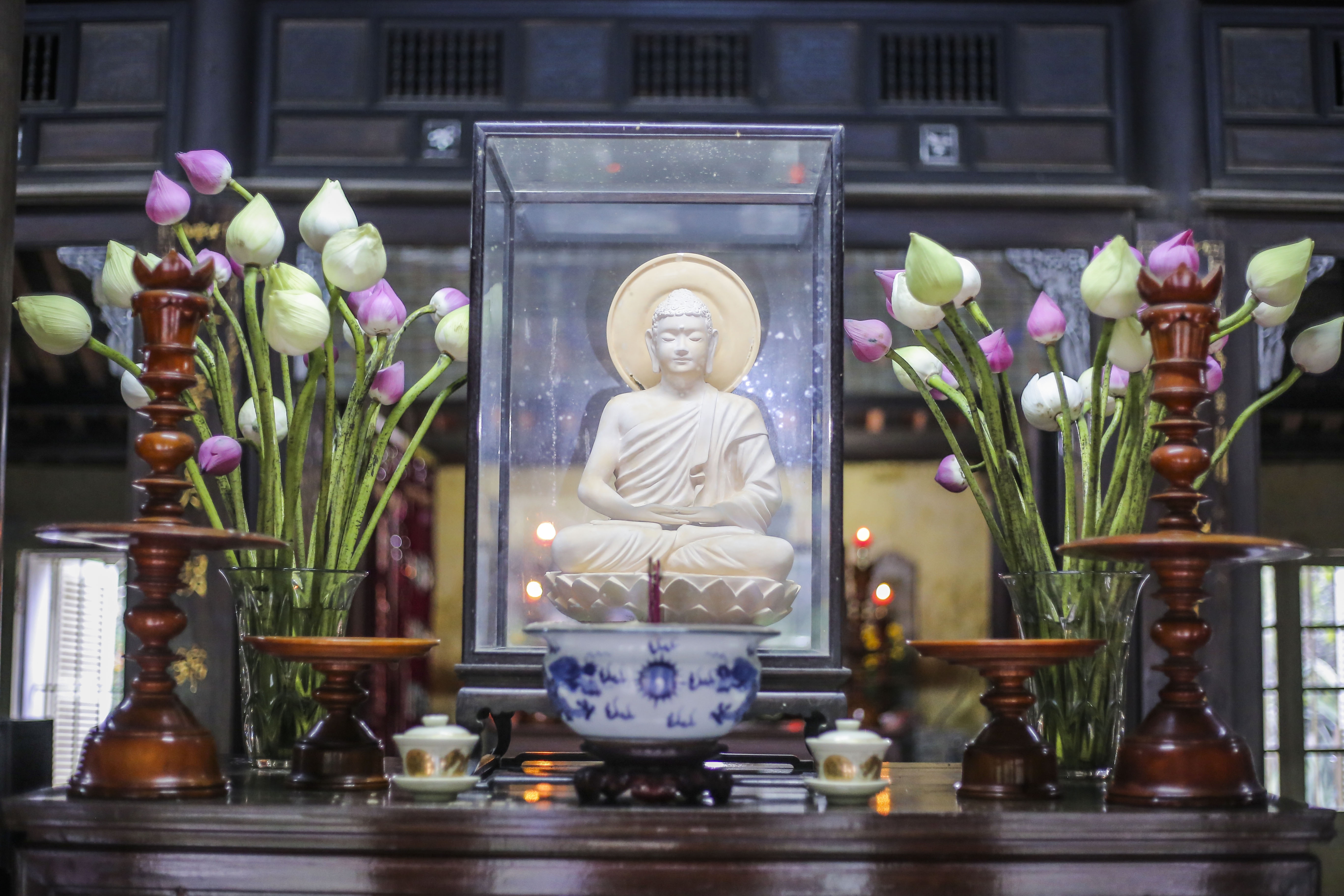 nha vuon 5.000 m2 co nhat xu Hue anh 10