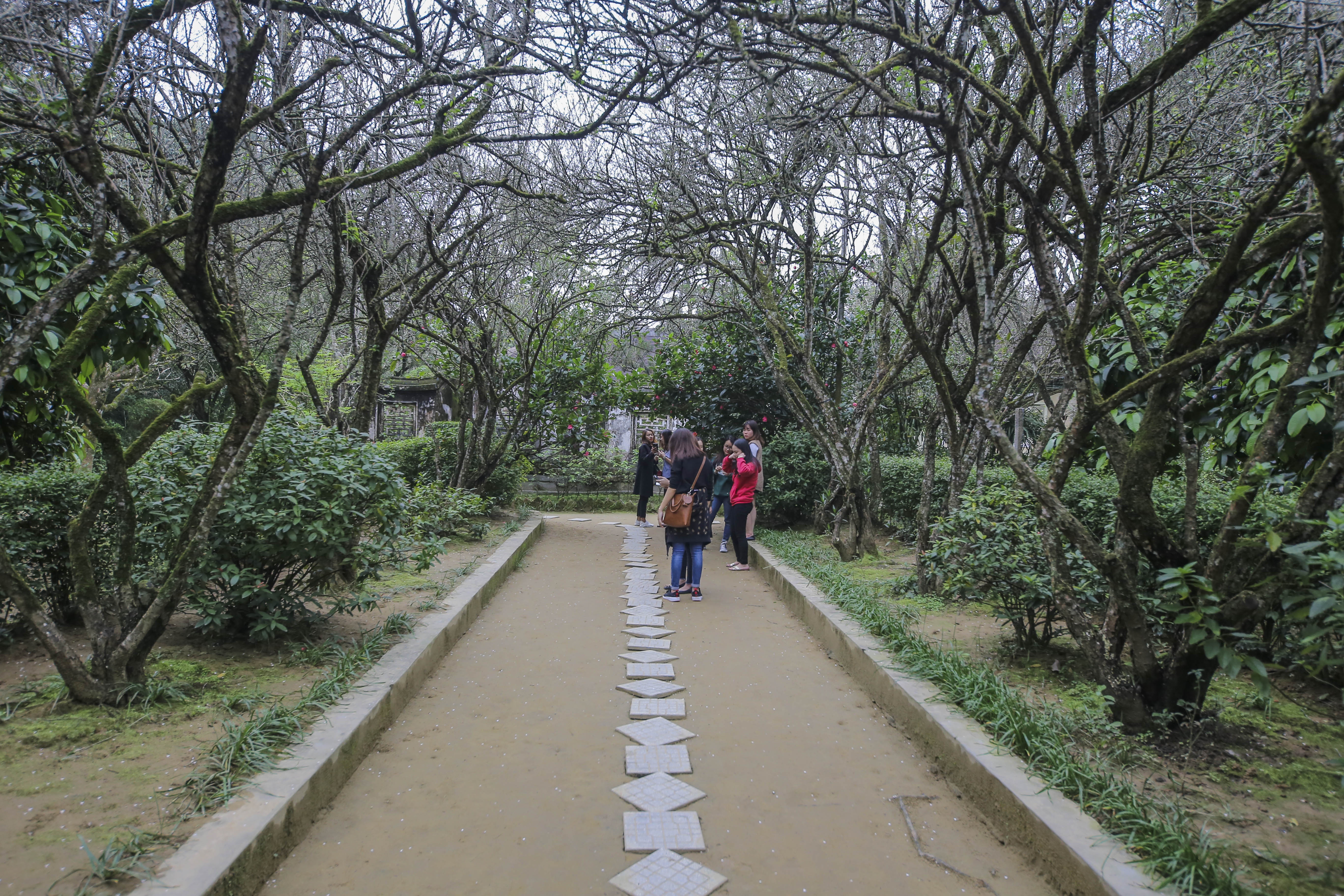 nha vuon 5.000 m2 co nhat xu Hue anh 2