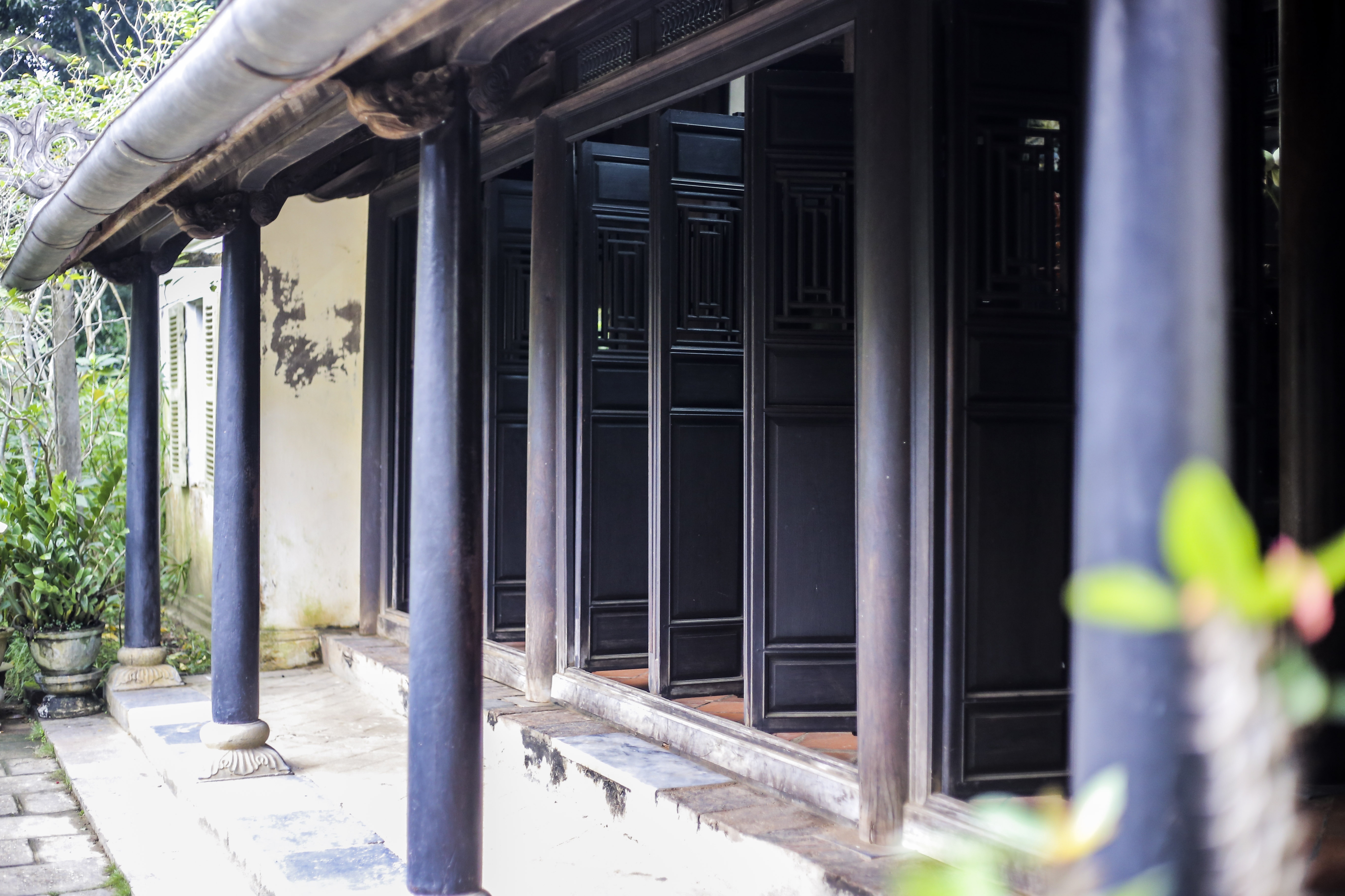 nha vuon 5.000 m2 co nhat xu Hue anh 6