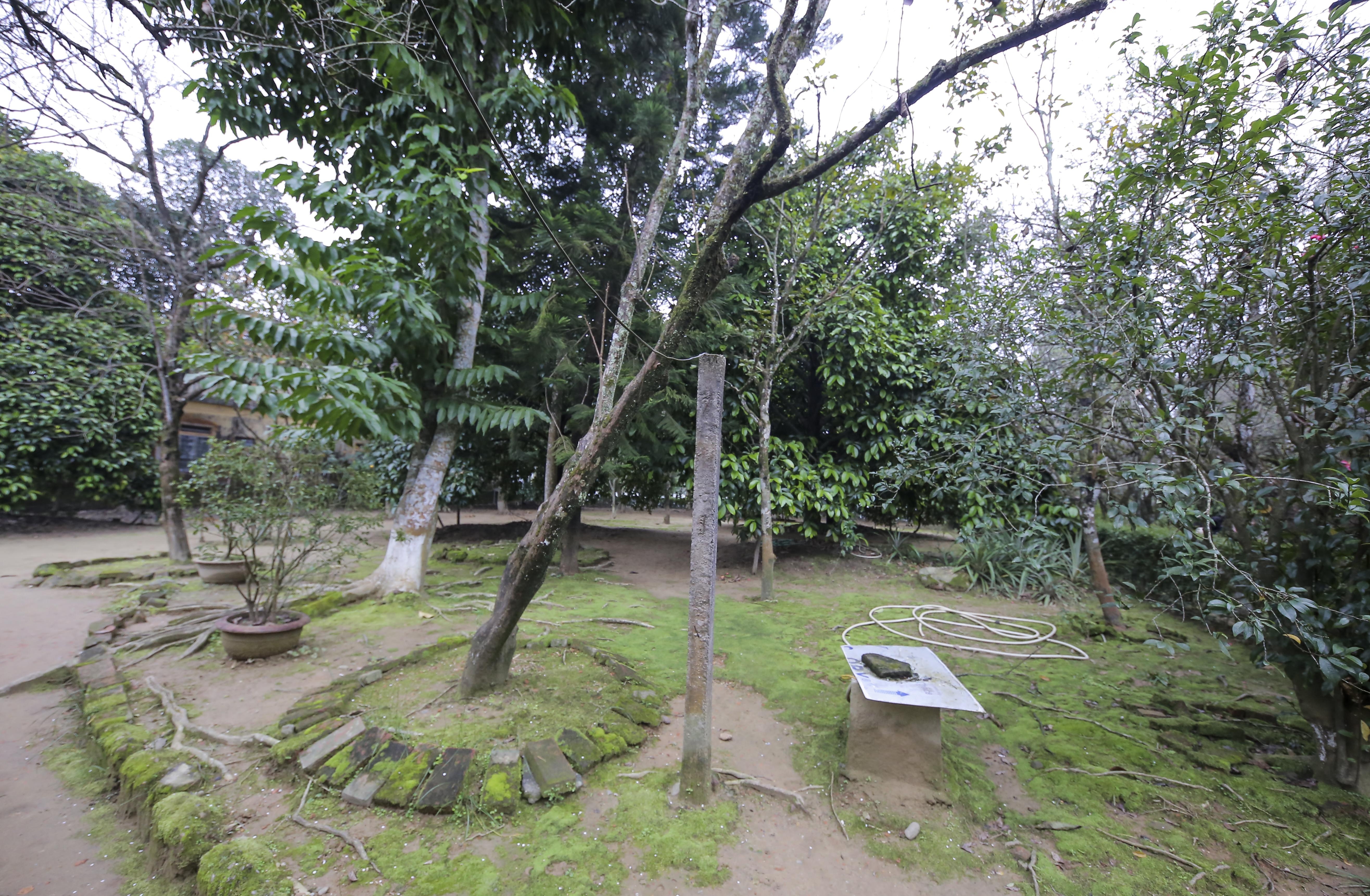 nha vuon 5.000 m2 co nhat xu Hue anh 15