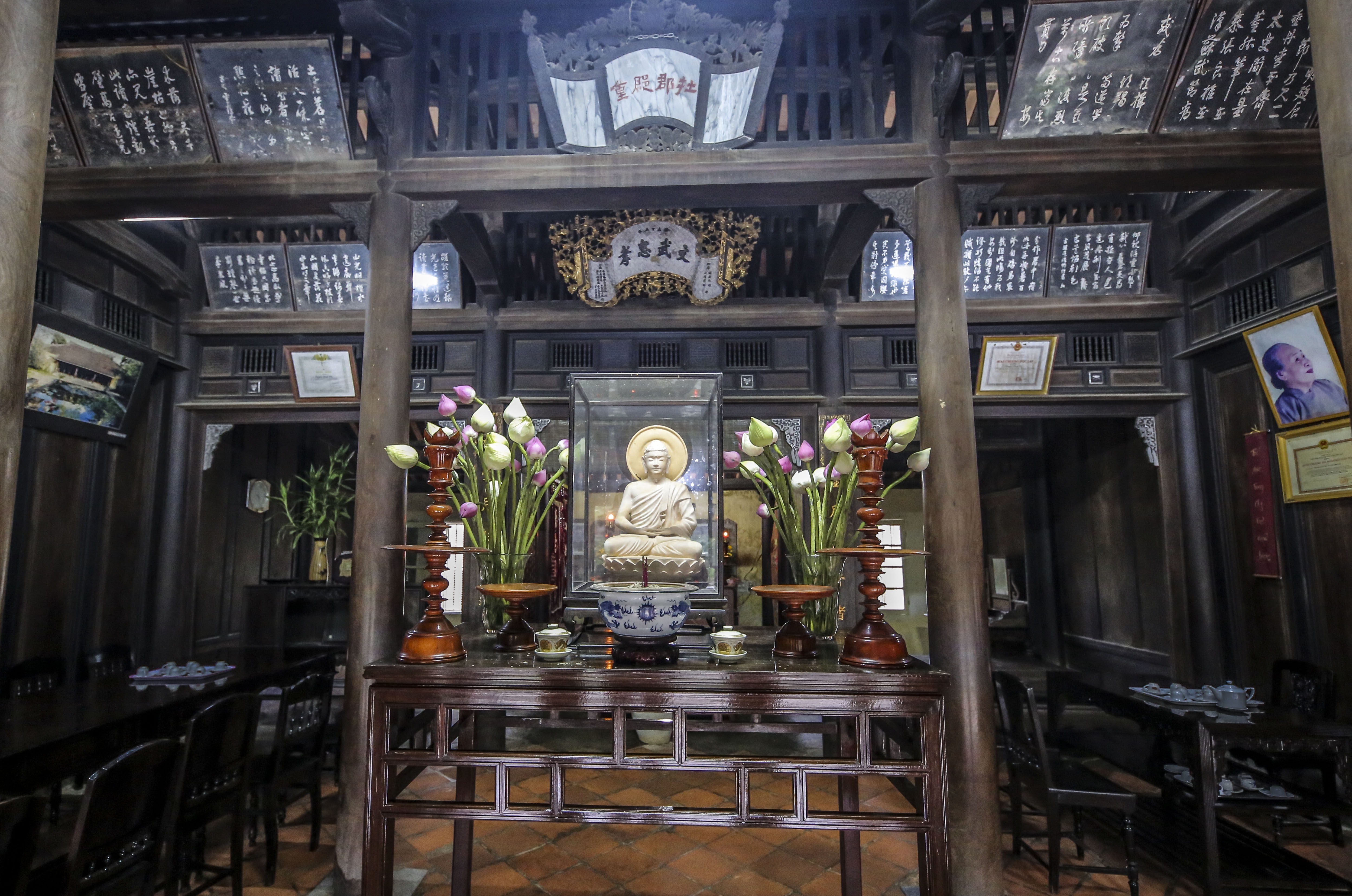 nha vuon 5.000 m2 co nhat xu Hue anh 9