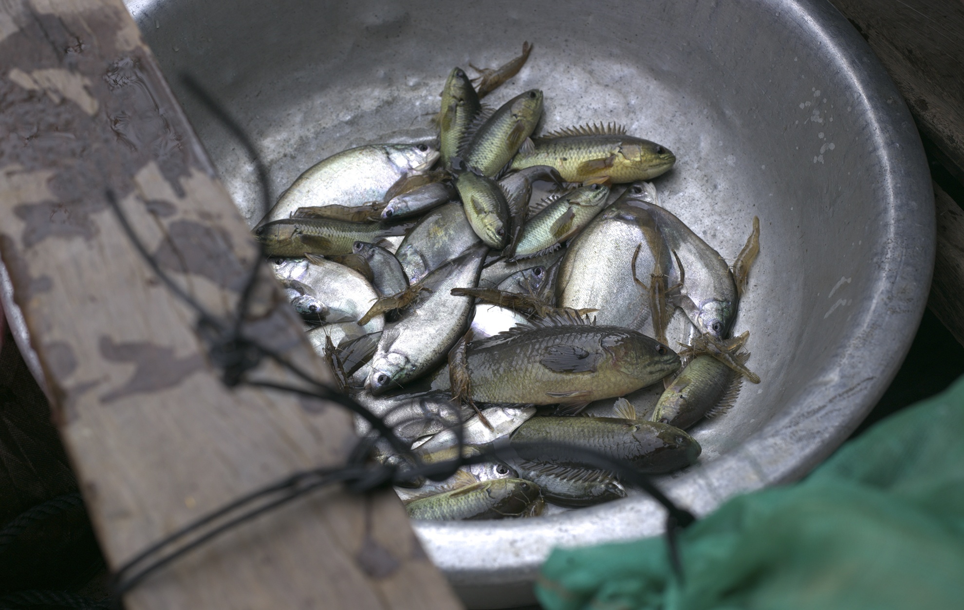 xom van do Thuy Phu mo tet tren bo anh 28