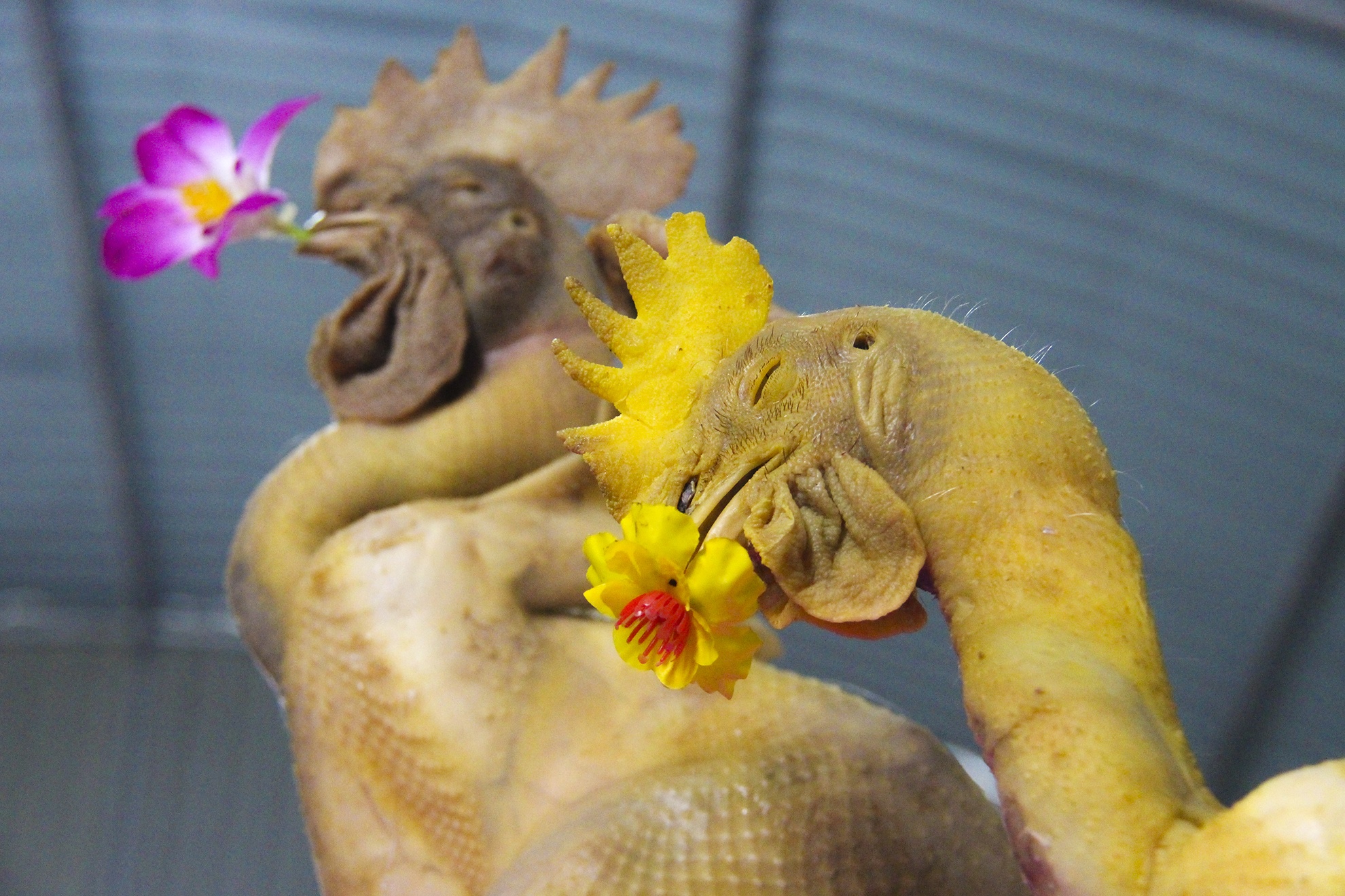 ga bay tren mam cung ngay ram anh 11