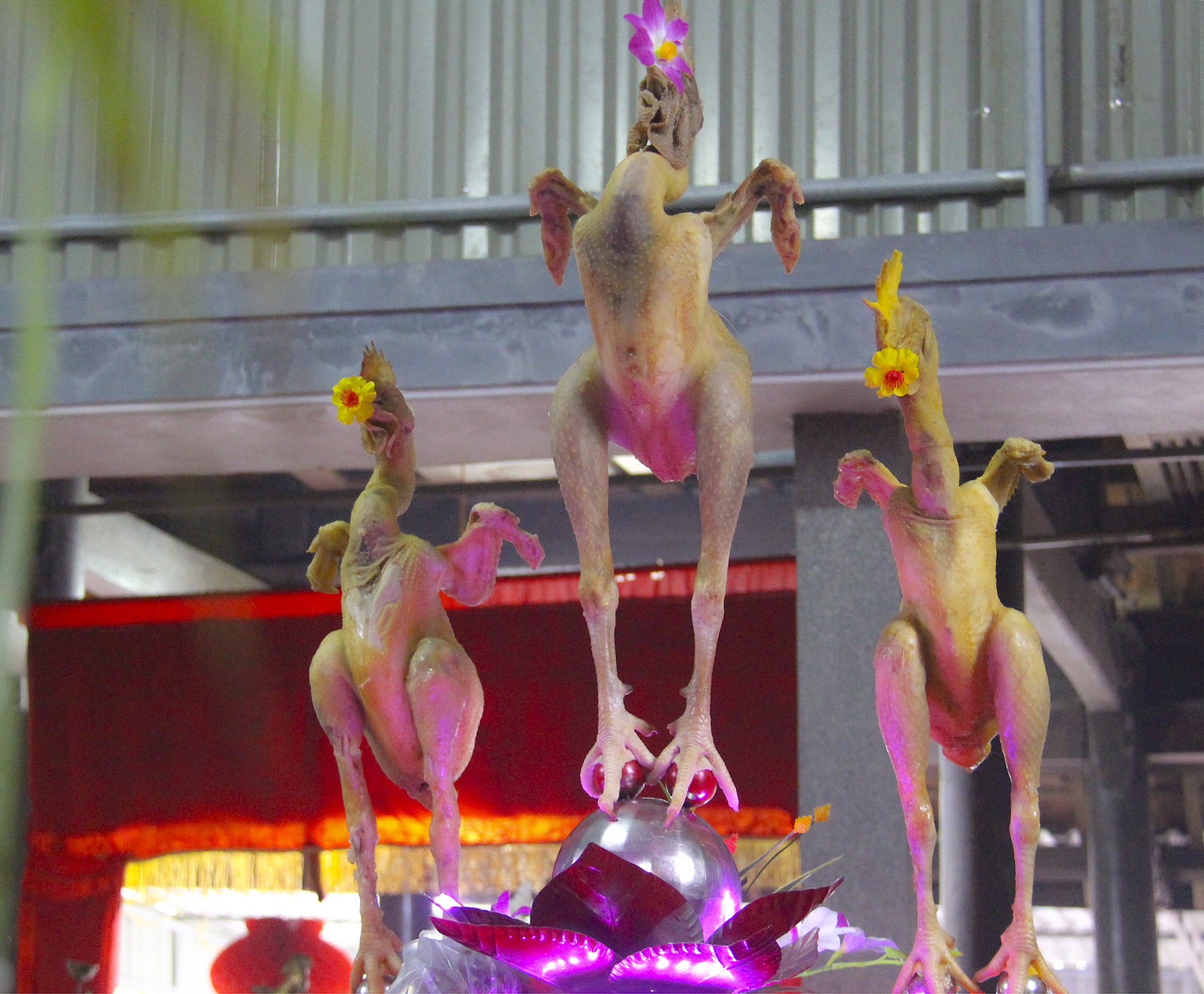 ga bay tren mam cung ngay ram anh 3