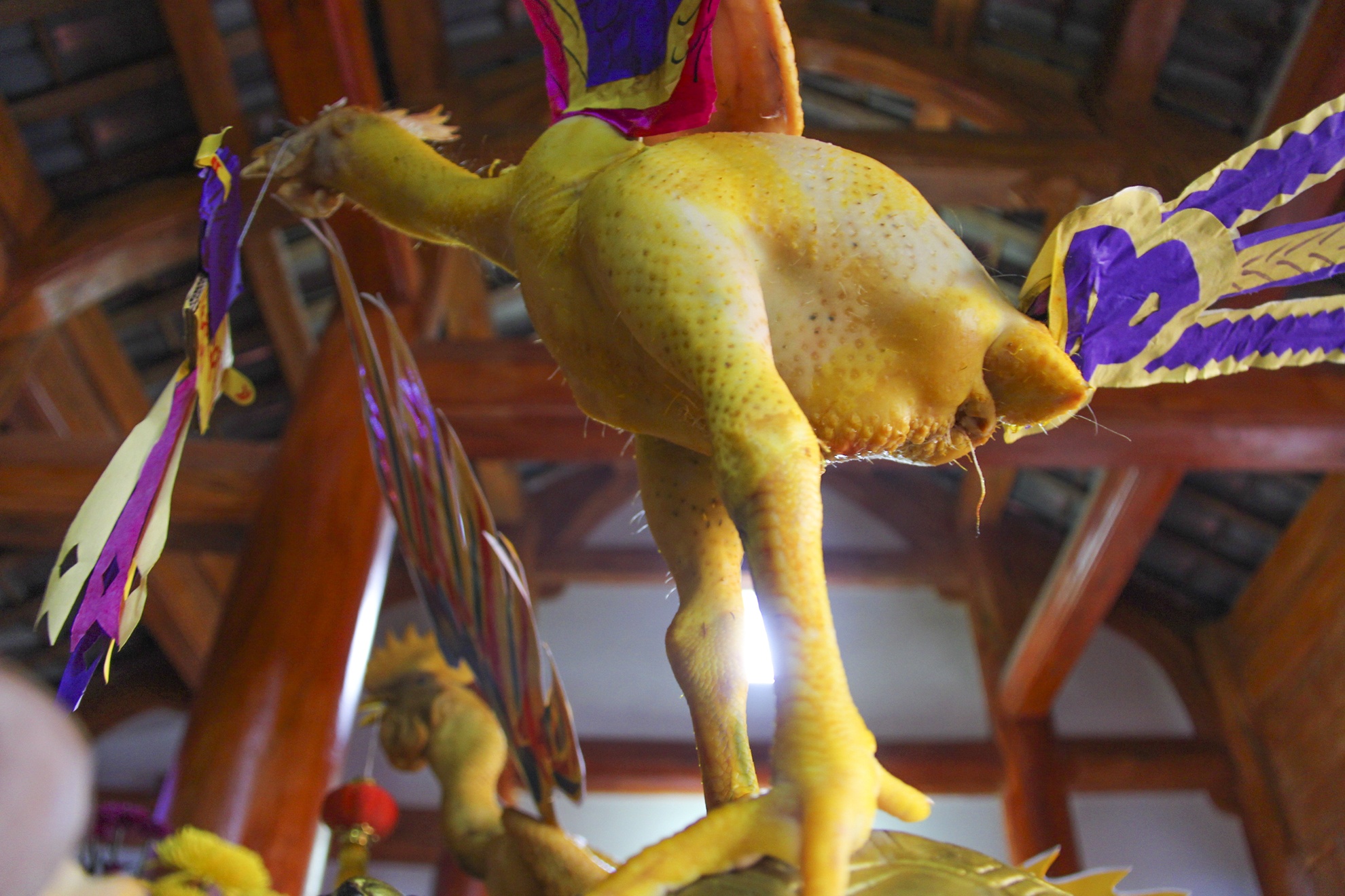 ga bay tren mam cung ngay ram anh 9