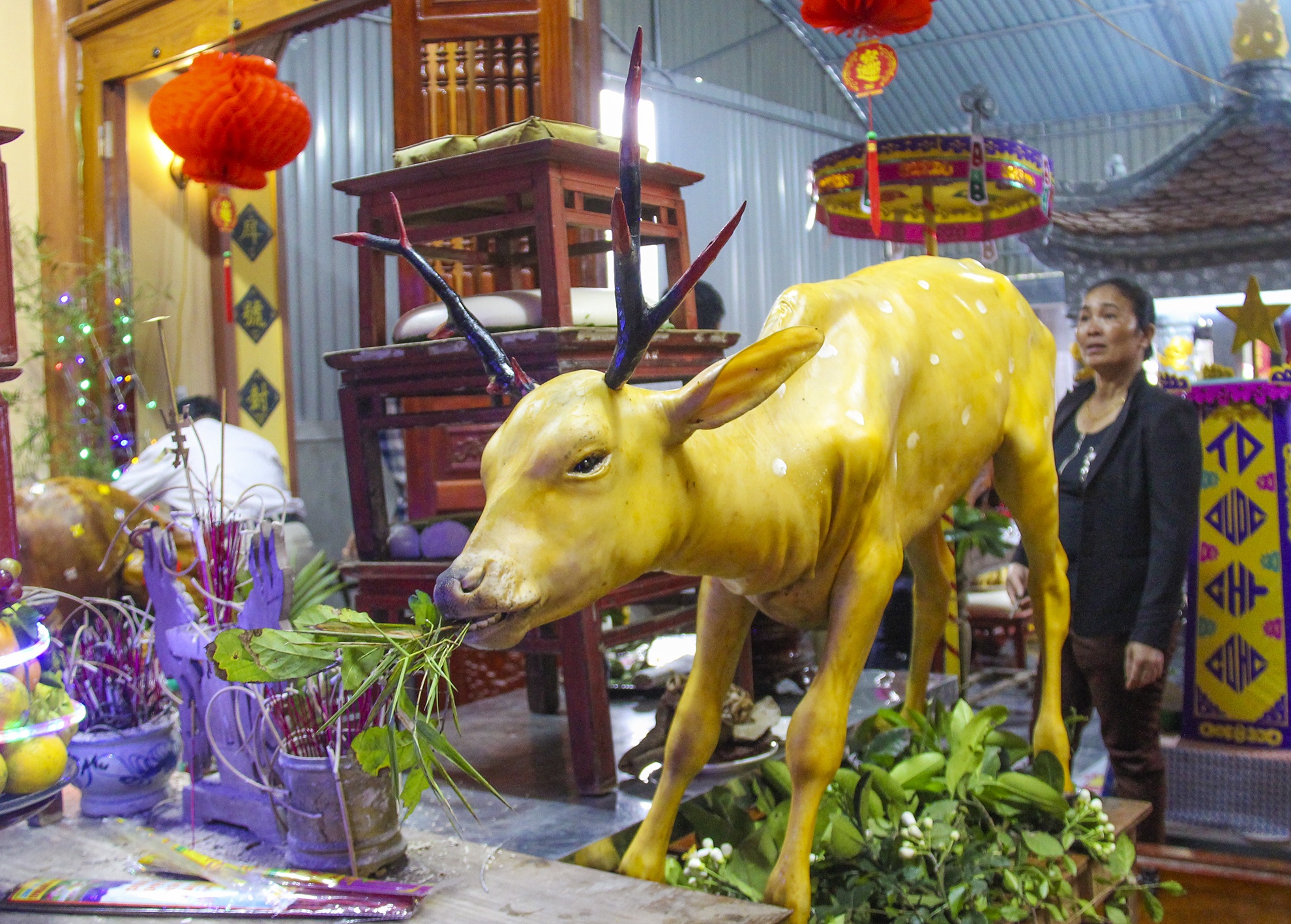 ga bay tren mam cung ngay ram anh 15