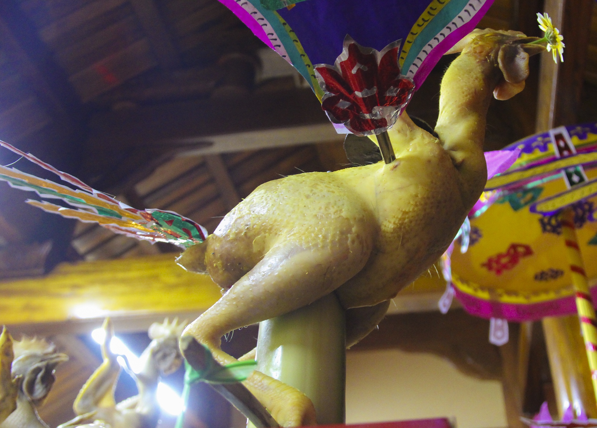 ga bay tren mam cung ngay ram anh 7