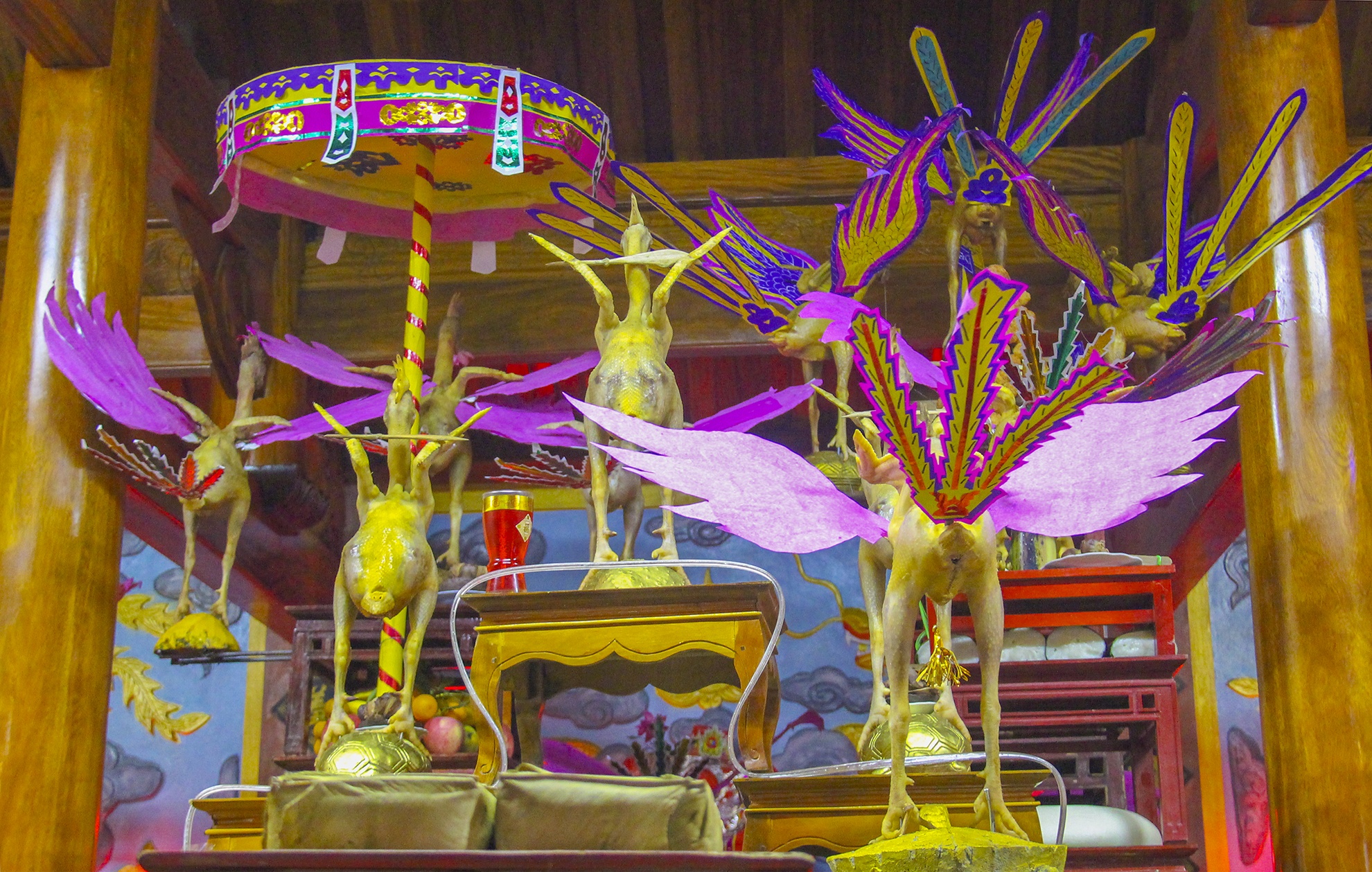 ga bay tren mam cung ngay ram anh 1