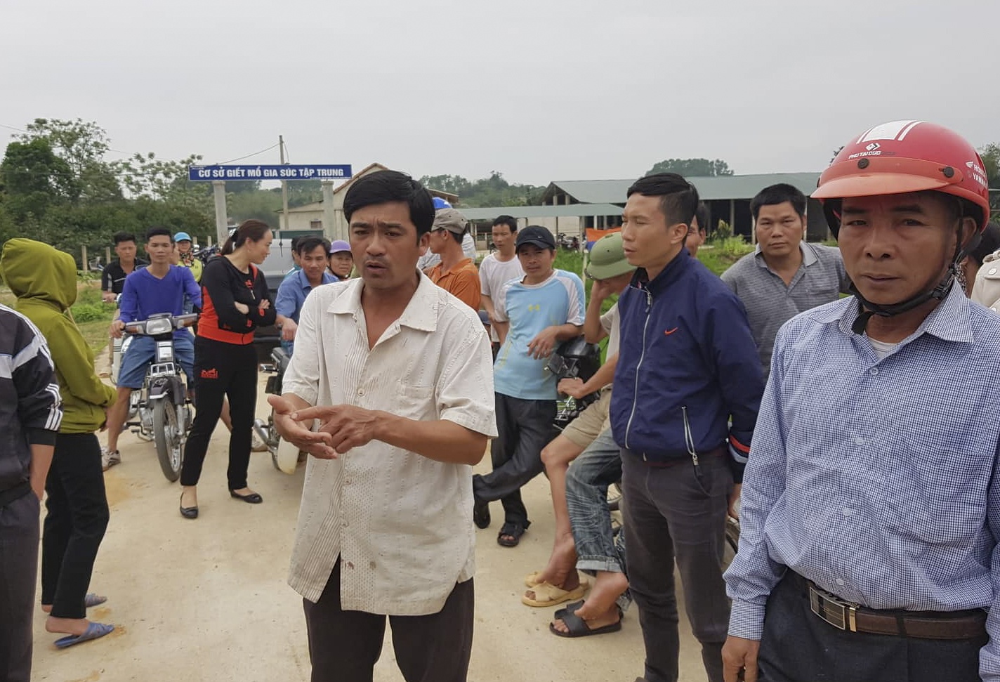 Tam dinh chi hoat dong lo mo de dich lo mom long mong tai phat hinh anh