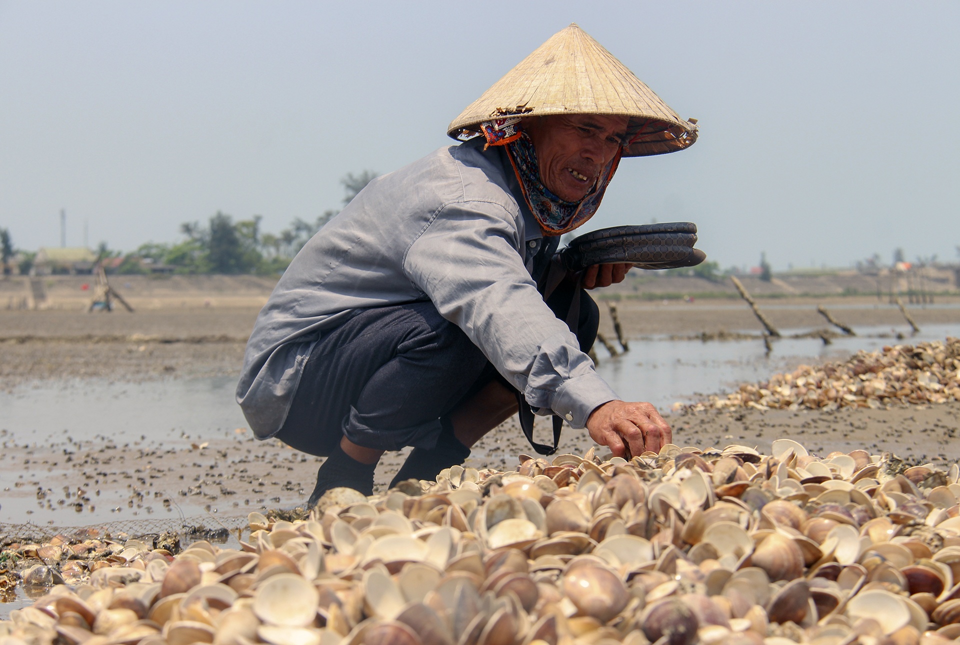 ngao chết trắng đầm ảnh 3 ngao chet trang dam anh 3