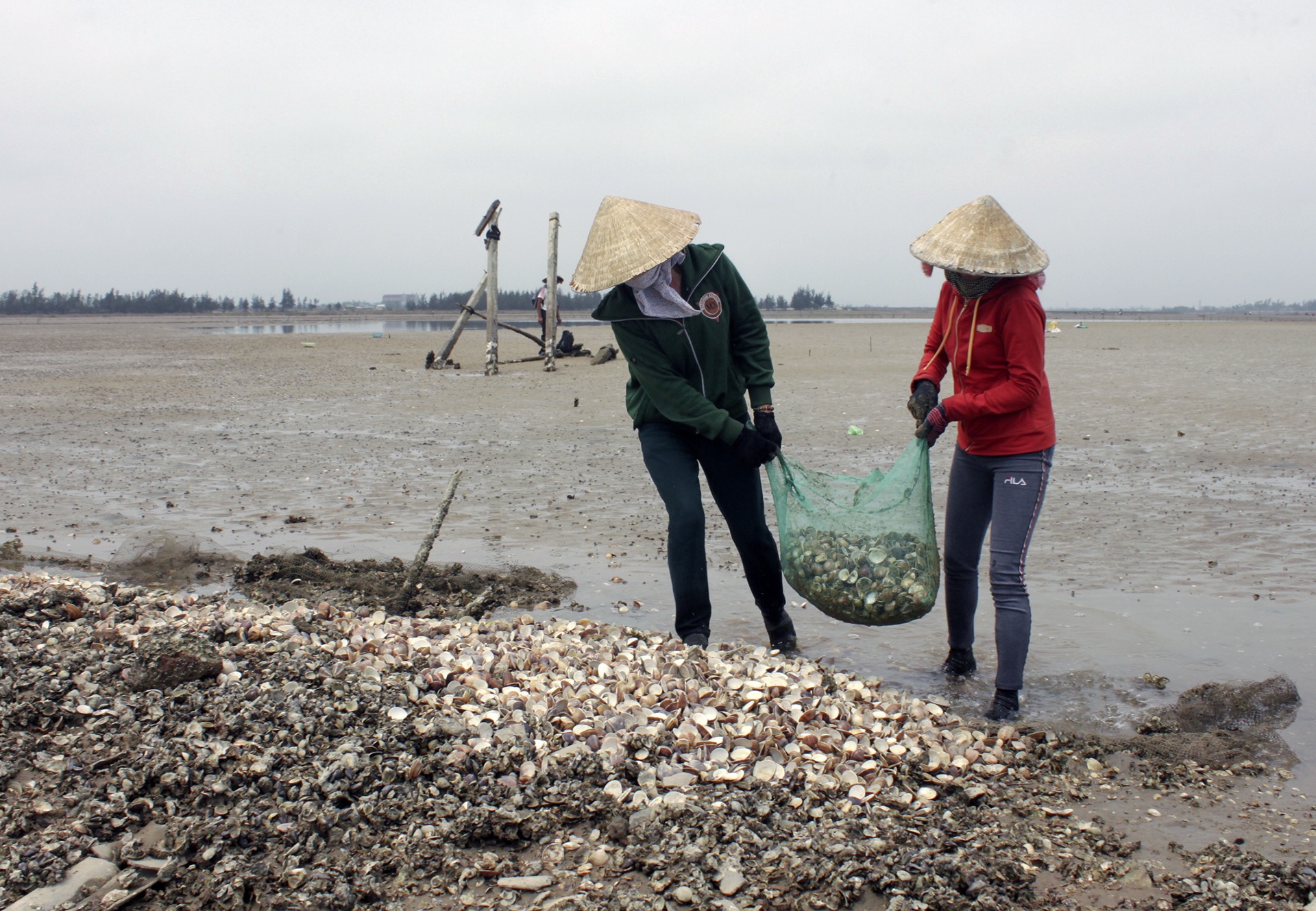 ngao chết trắng đầm ảnh 8 ngao chet trang dam anh 8